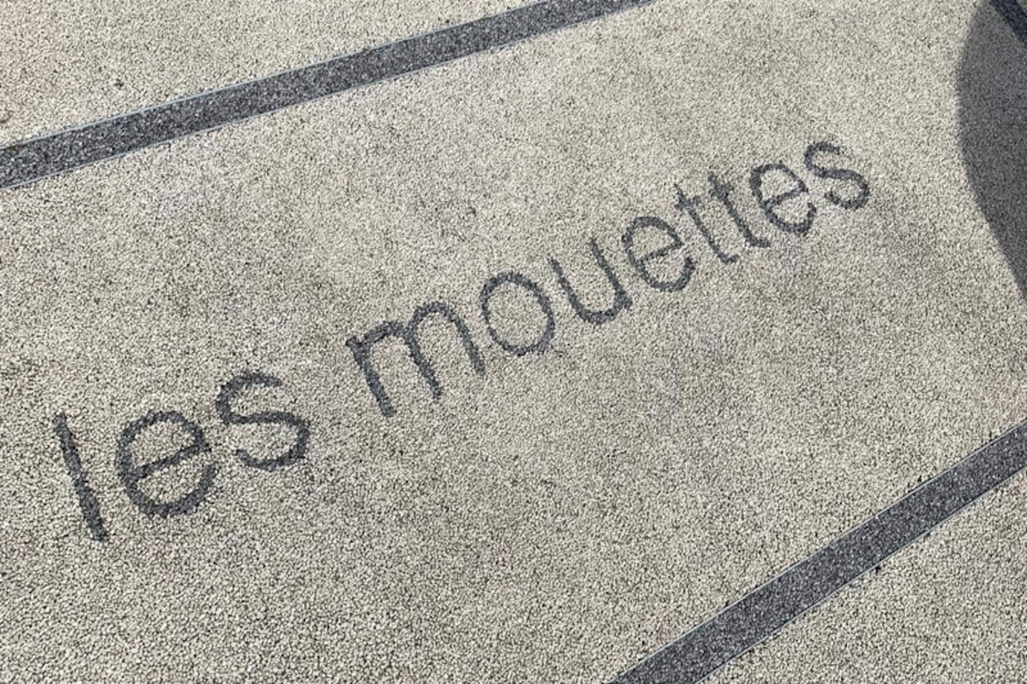 Appartements à Cannes-Nicht zugeordnet