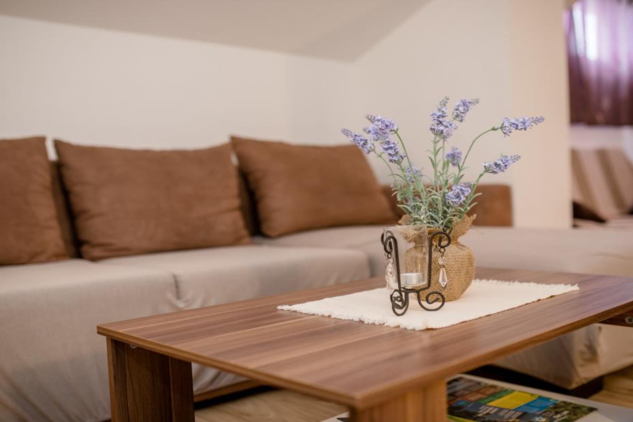 One Bedroom Apartment with Terrace 3