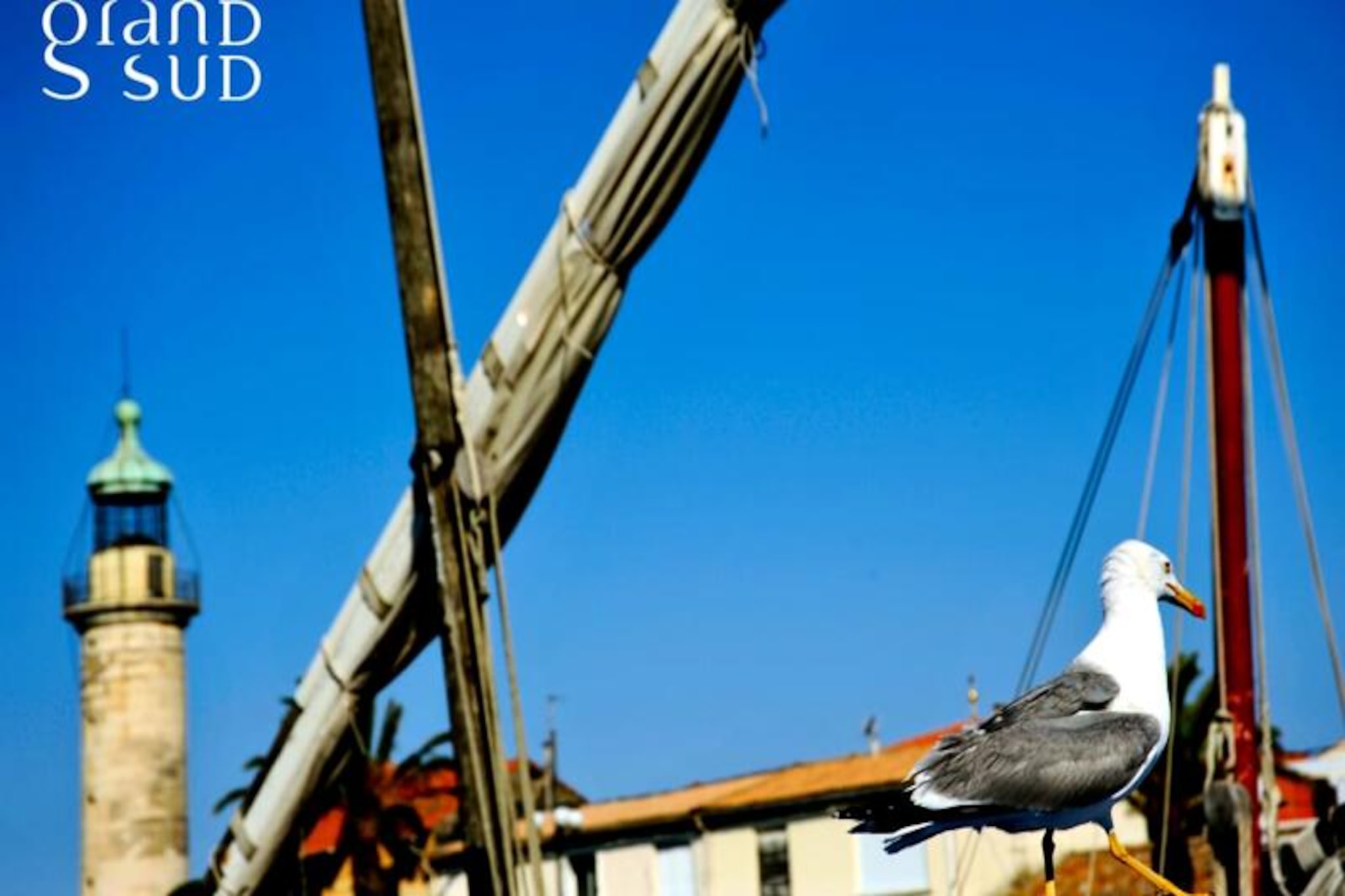 Résidence La Cocardière - Studio Proche De La Plage-Niet-getagd