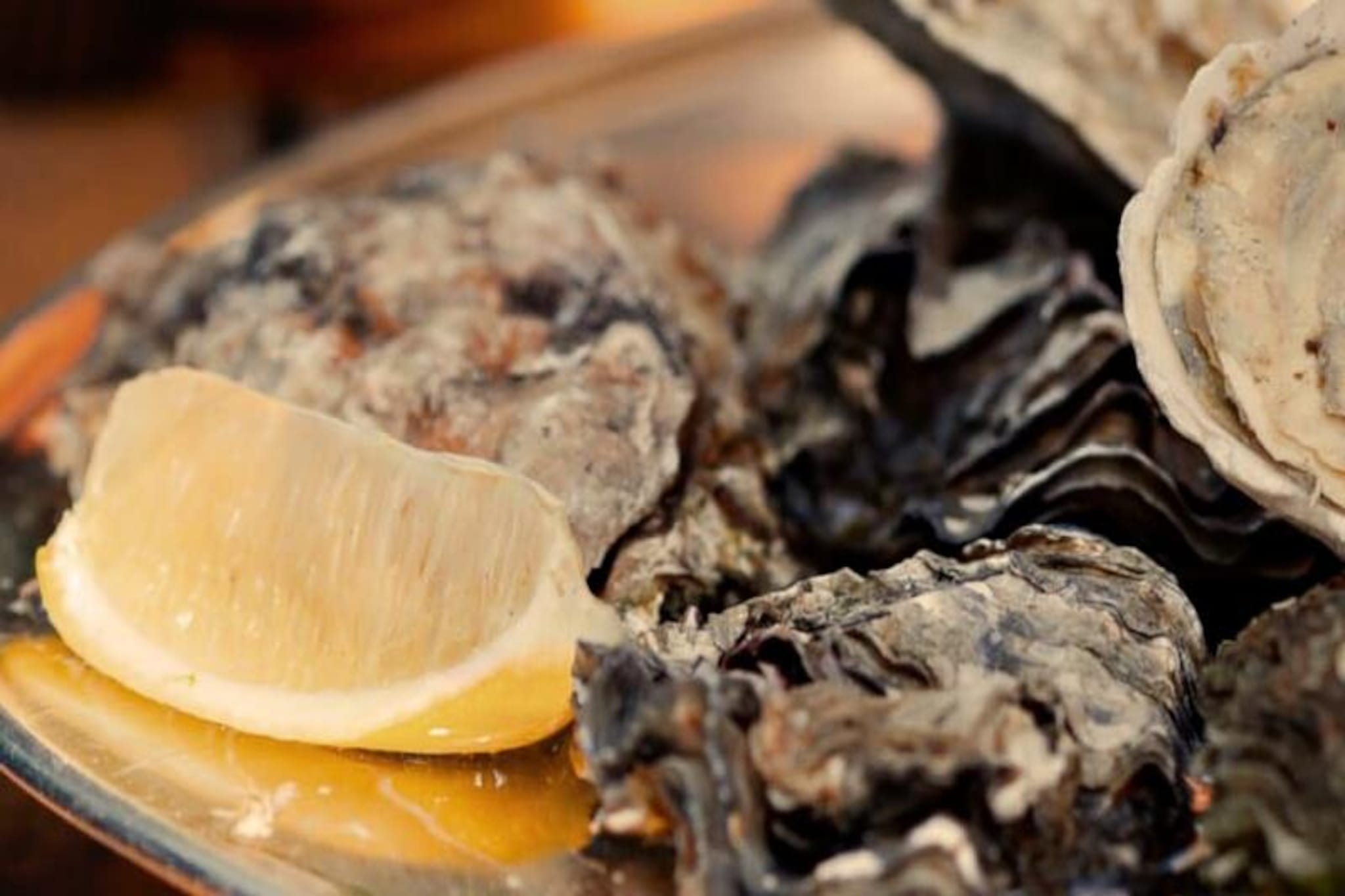 Résidence La Cocardière - Studio Proche De La Plage-Niet-getagd