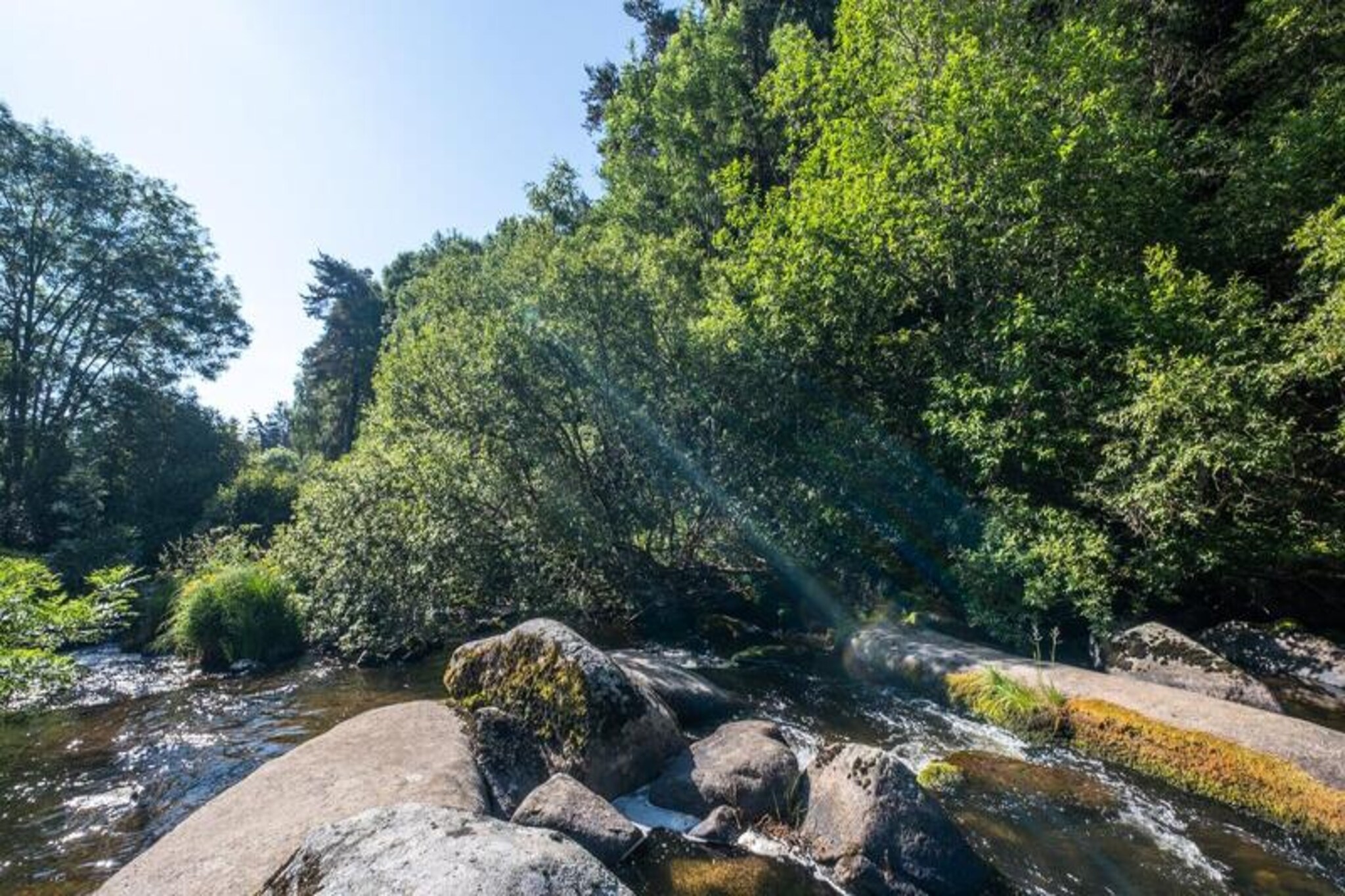 Gîte de France Le moulin du chambon 6/8 pers 3 épis-Niet-getagd
