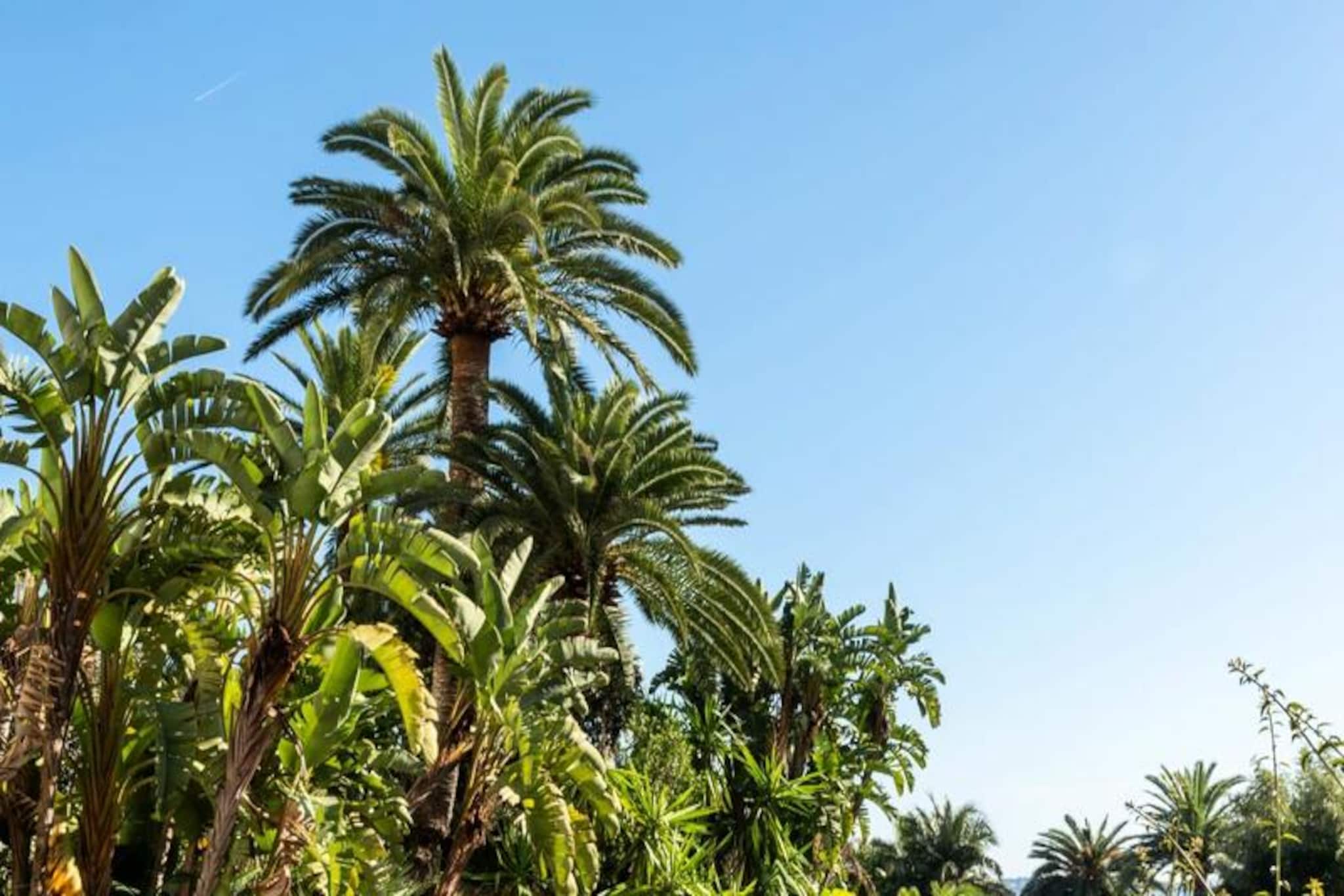 Résidence Côte D’azur, Vue Mer, Tennis, Plage-Untagged