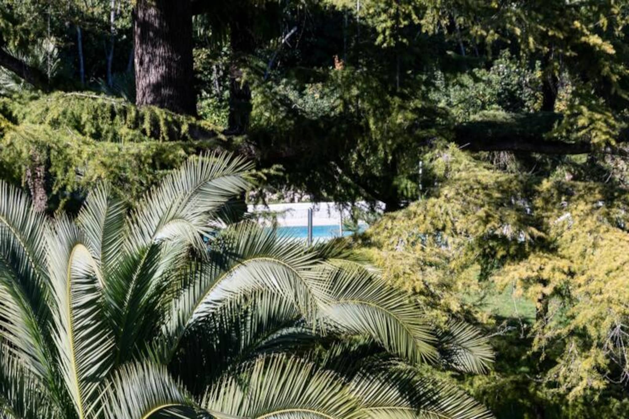 Résidence Spacieux 3p En Résidence Avec Piscine-Niet-getagd