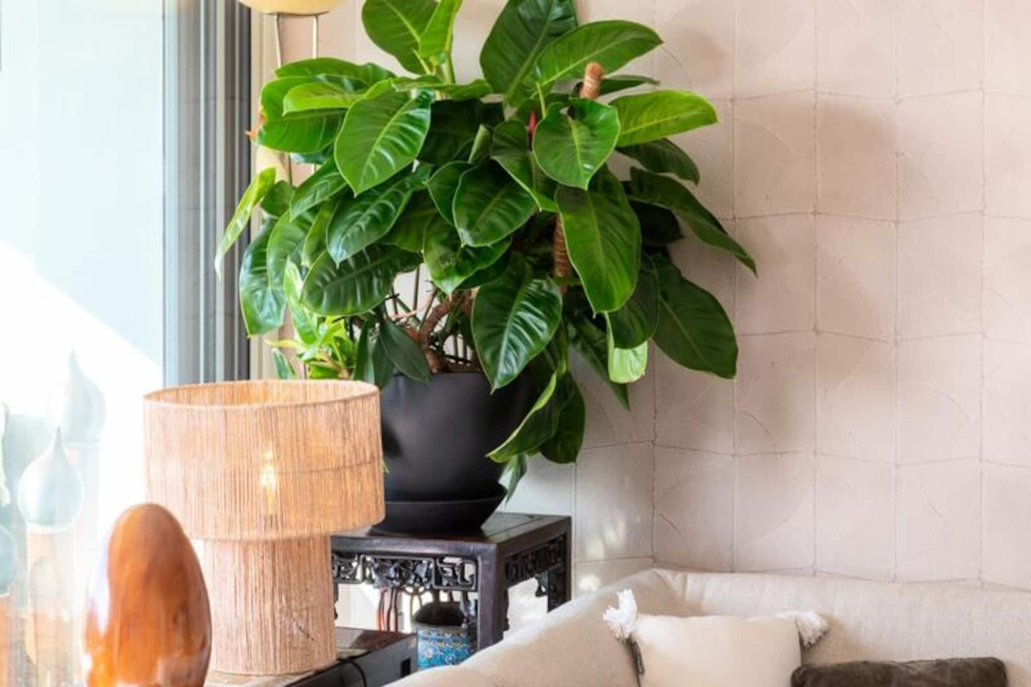 Résidence 3p De Dtanding Cannes Vue Mer-Untagged