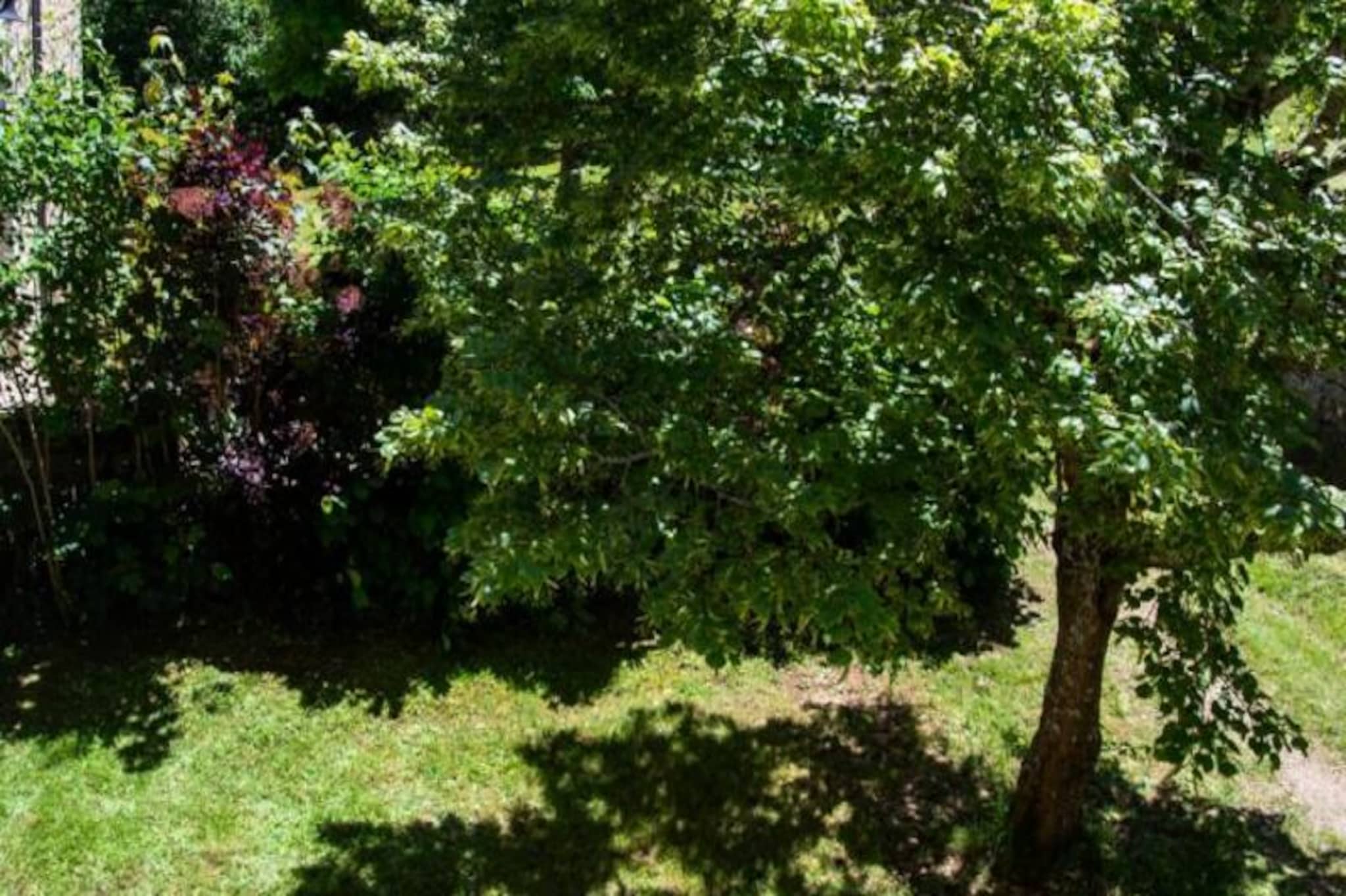 Gîte La cazelle 4/6 personnes du presbytère-Niet-getagd