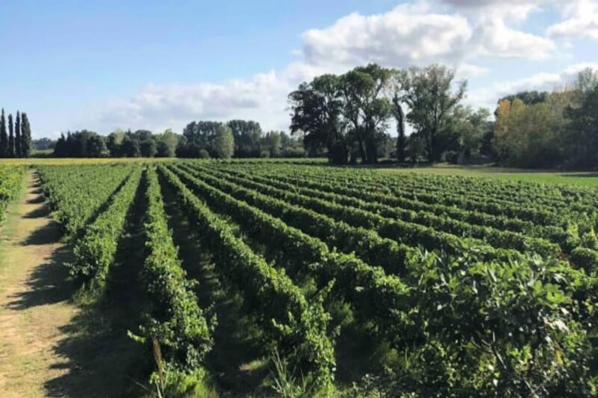 Maison Cosy Lodge, 15 P, Clim, Wifi, Cour, Garage-Nicht zugeordnet