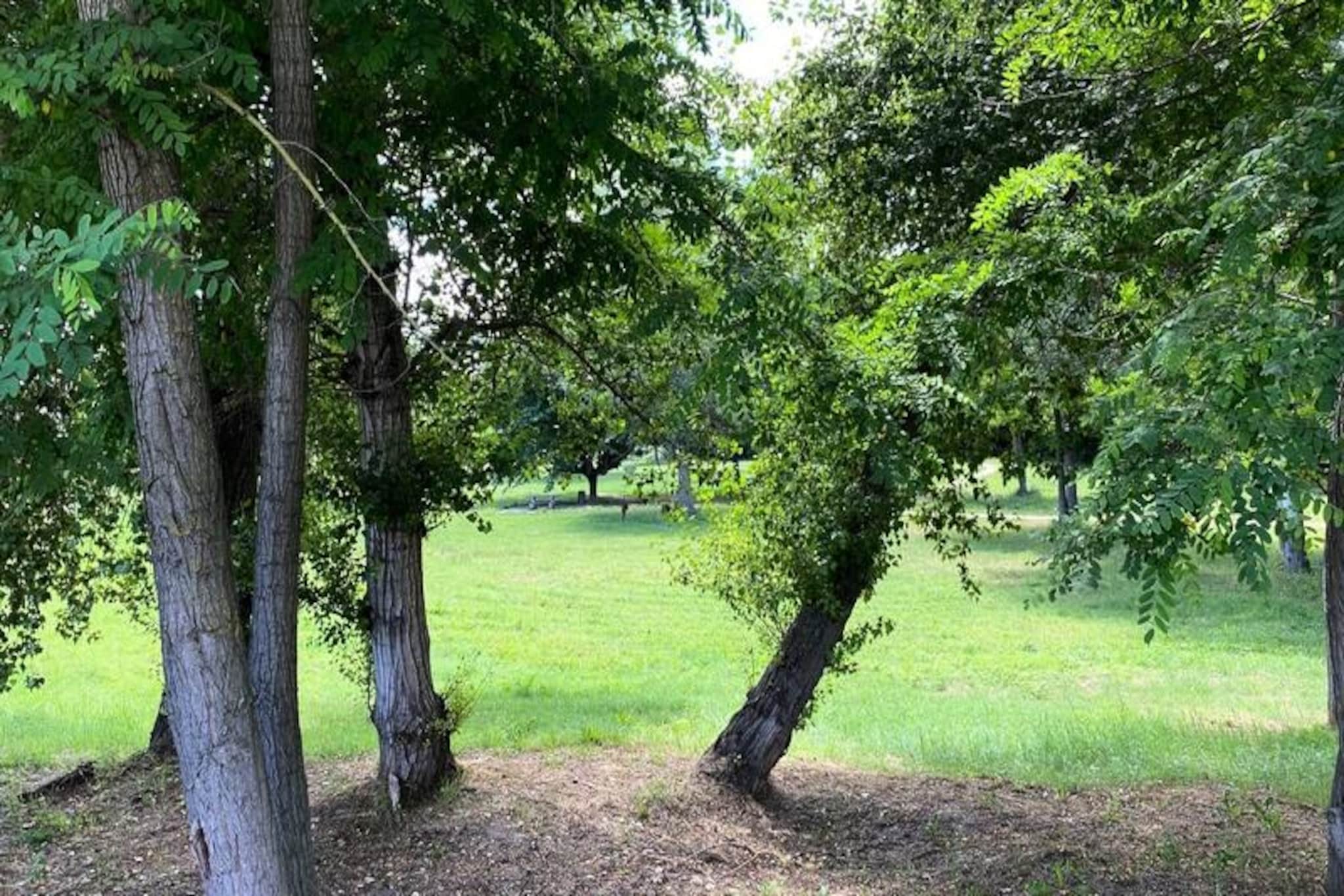 Maison Cosy Lodge, 15 P, Clim, Wifi, Cour, Garage-Nicht zugeordnet