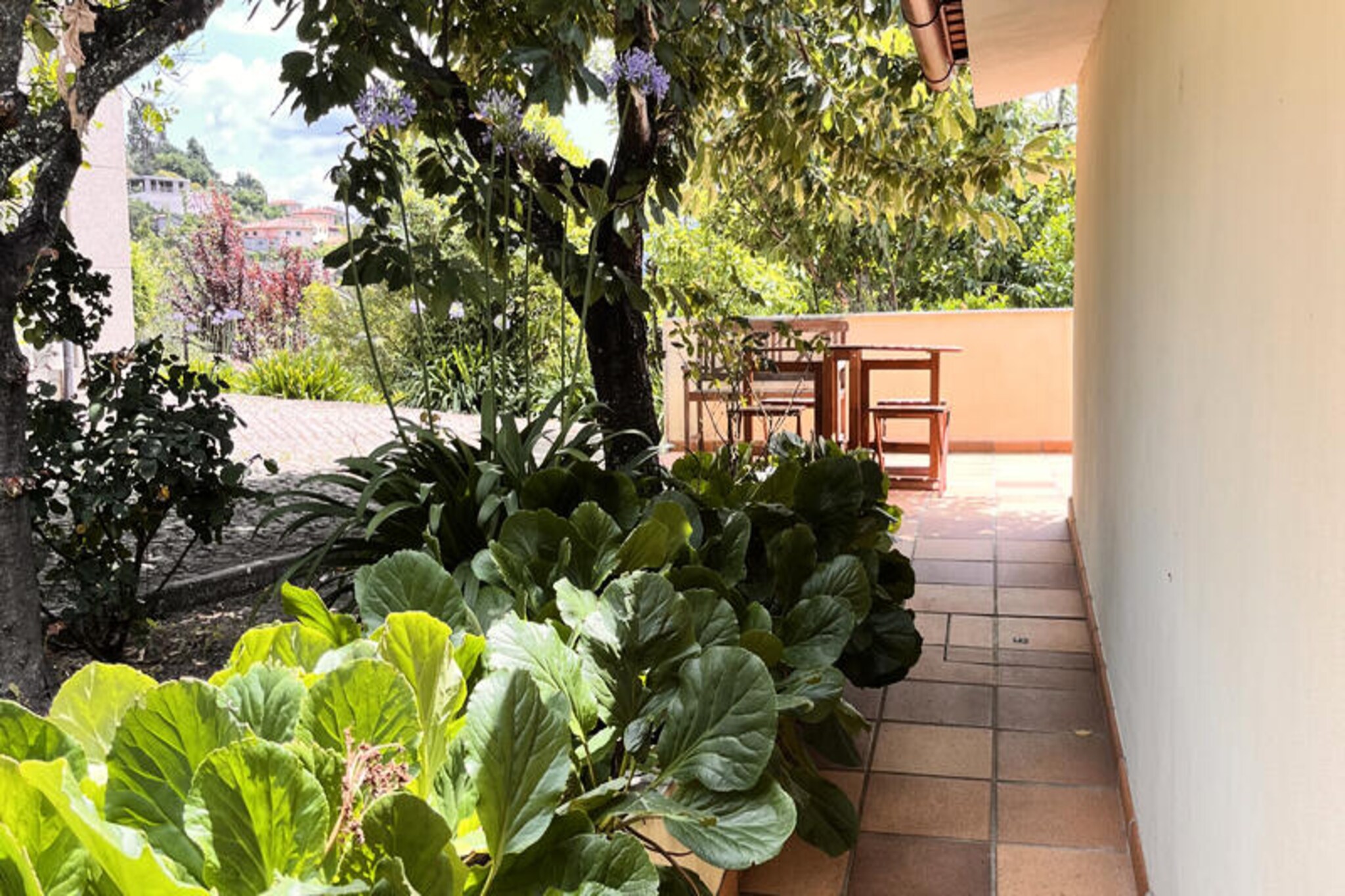 House in Cabeceiras with Pool & Garden