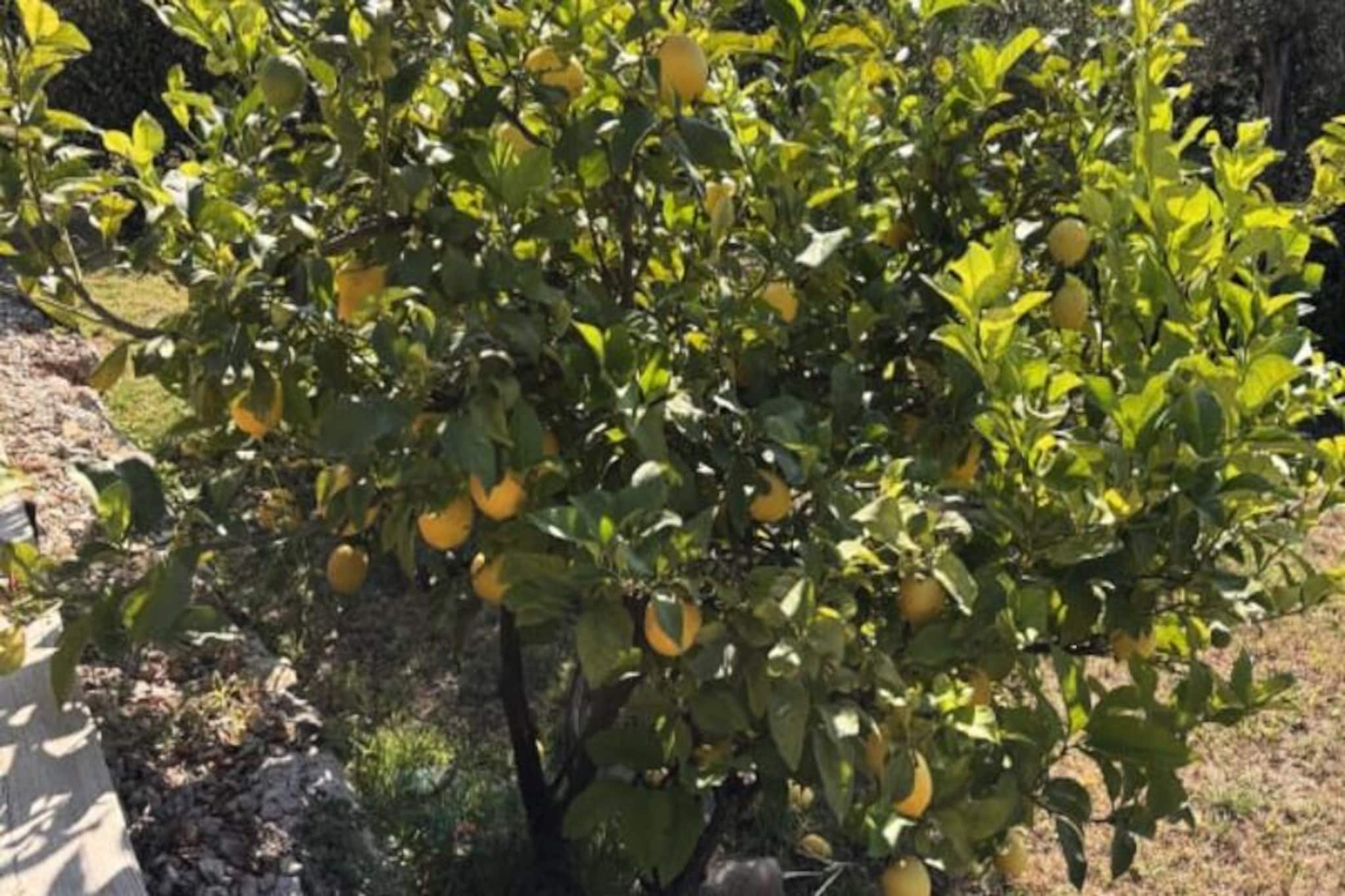 Plen Souleu Villa Haut Standing, Piscine, Jacuzzi, Sauna, Airco By Sunset-Non tagué