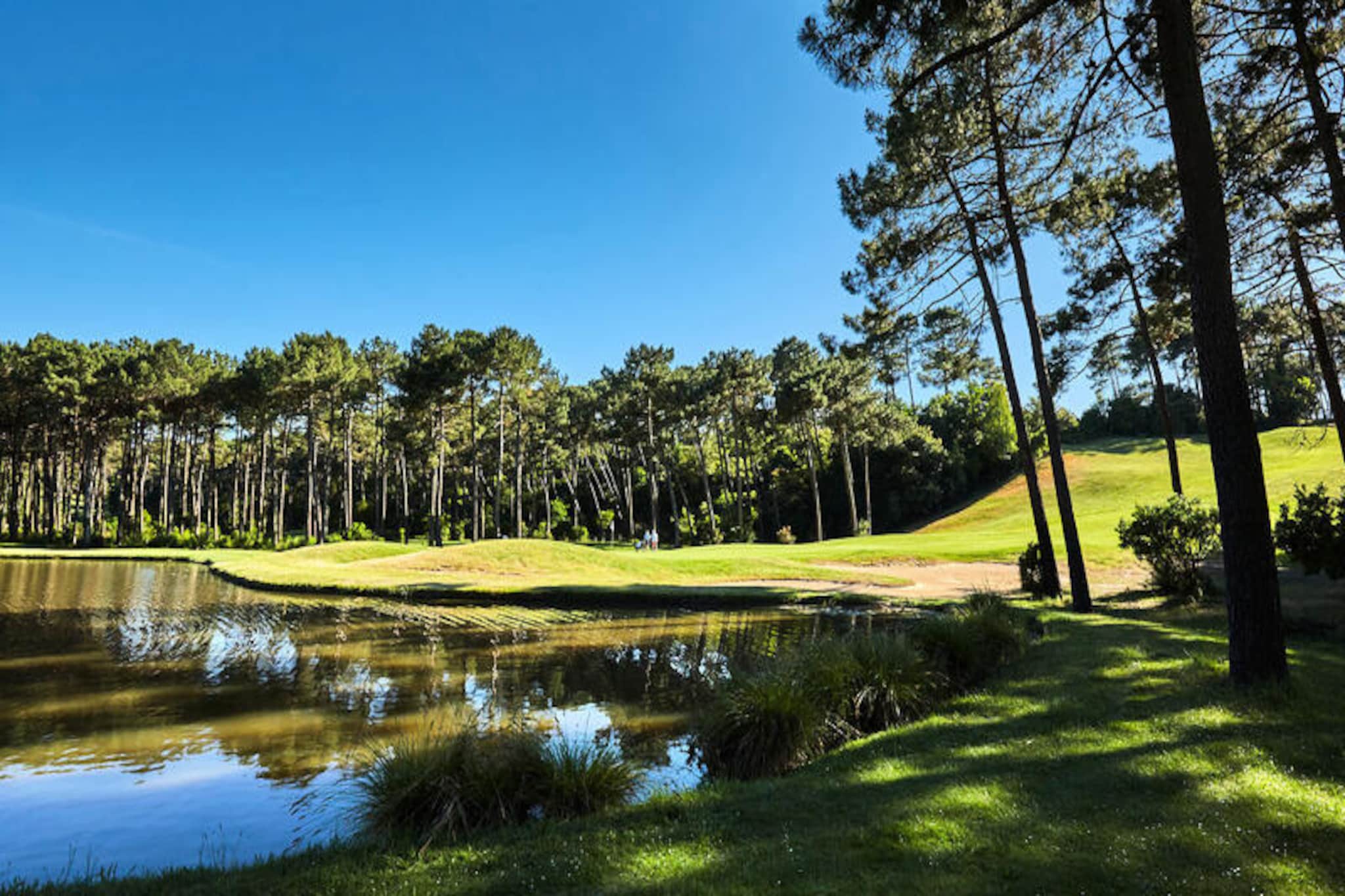 Maison à Lacanau-Niet-getagd