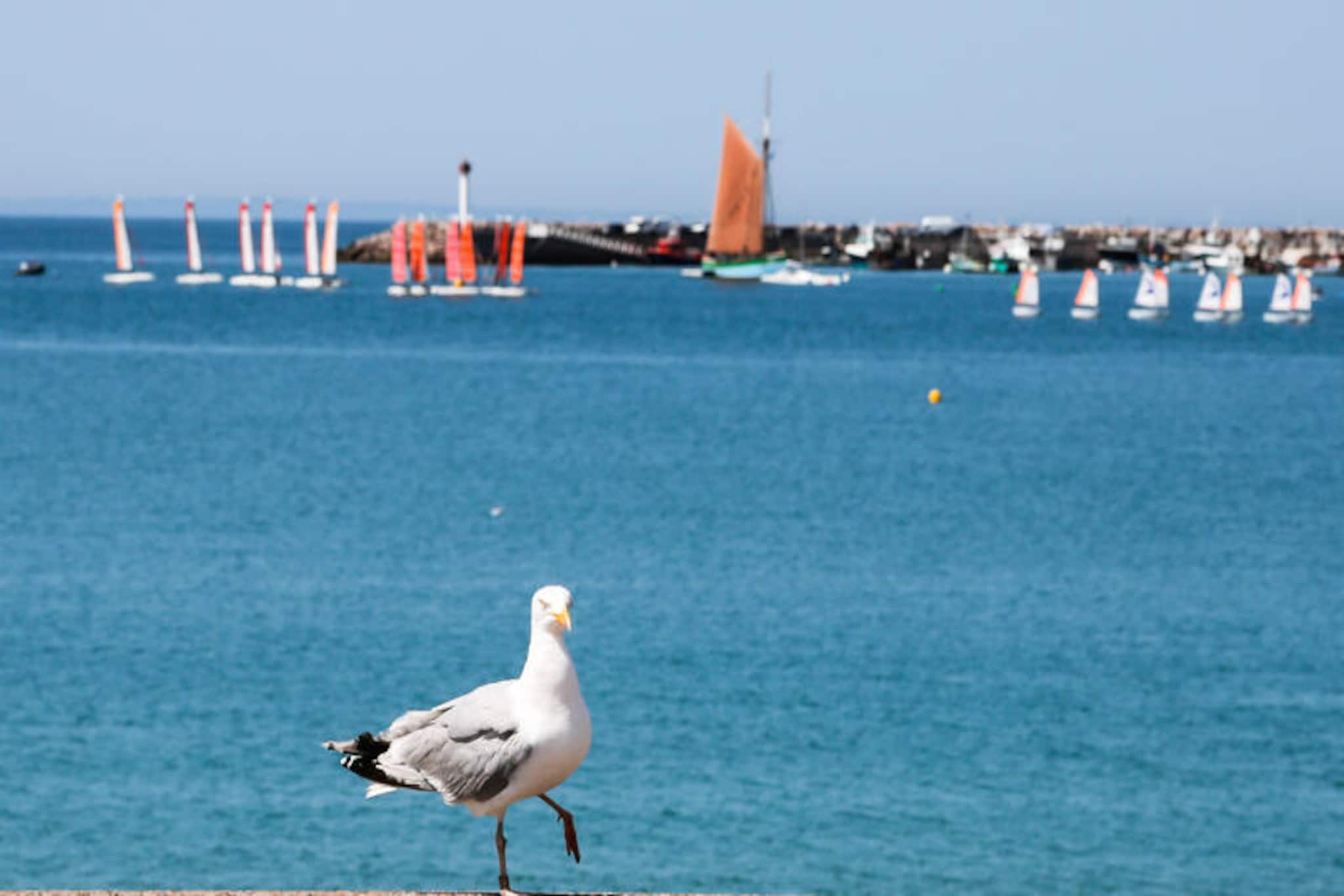 Appartements à Erquy-Untagged
