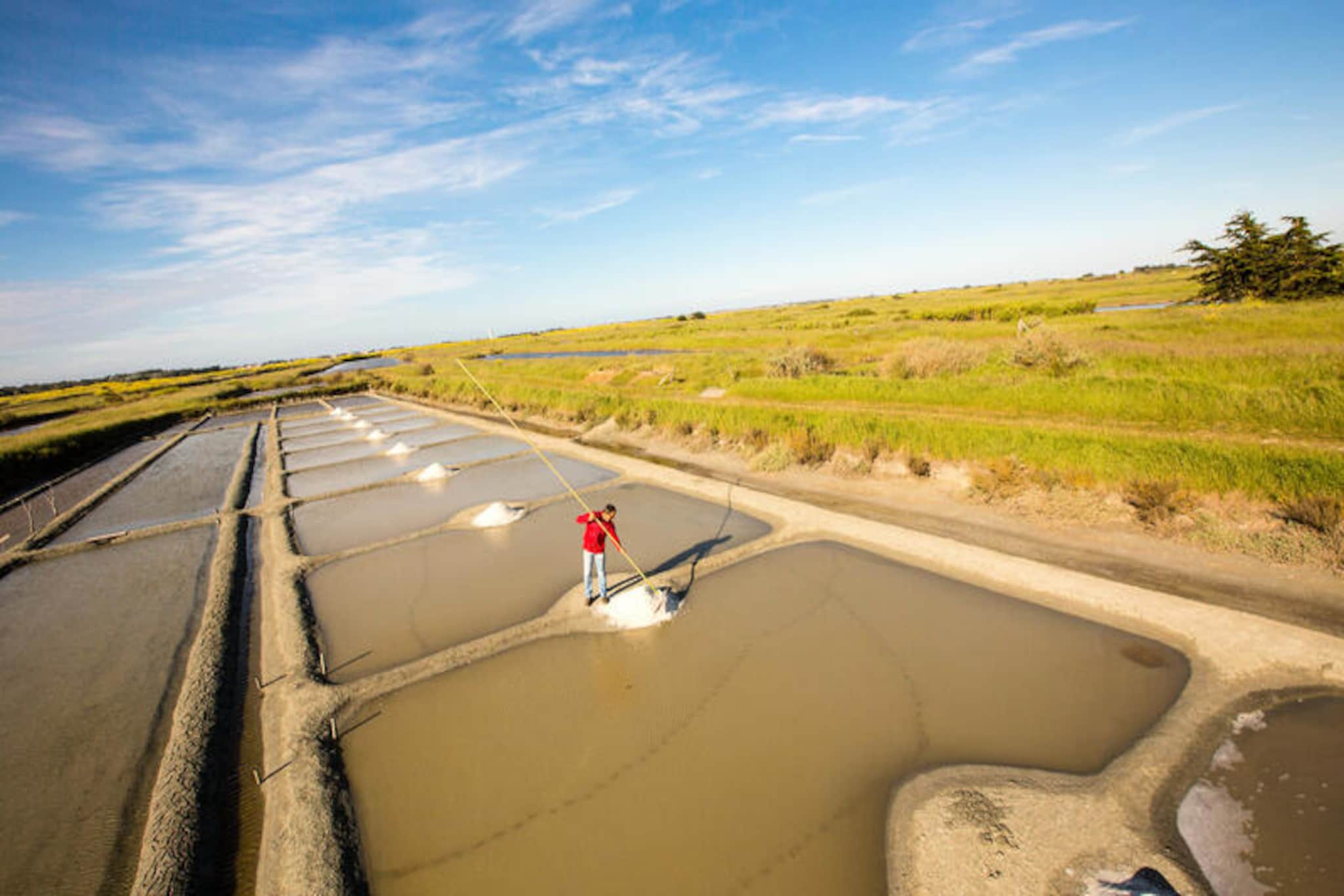 Maison à Noirmoutier-Nicht zugeordnet