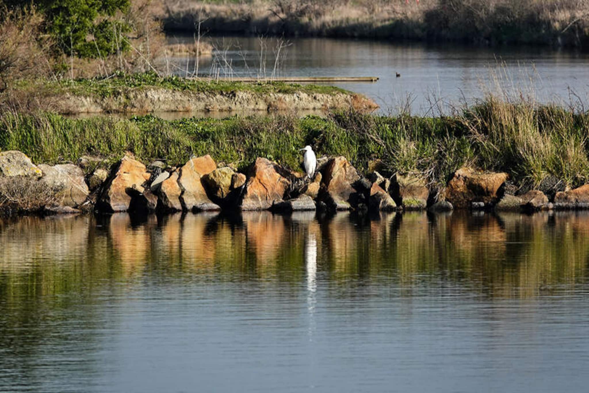 Appartements à Saint-Gilles-Croix-de-Vie-Non tagué