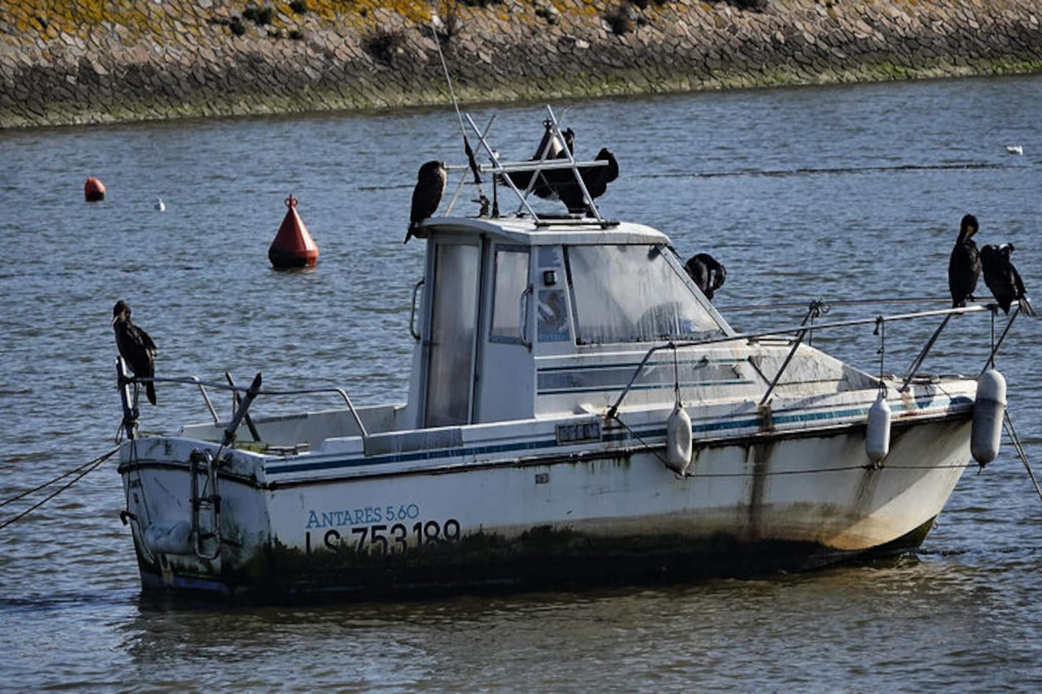 Appartements à Saint-Jean-de-Monts-Untagged