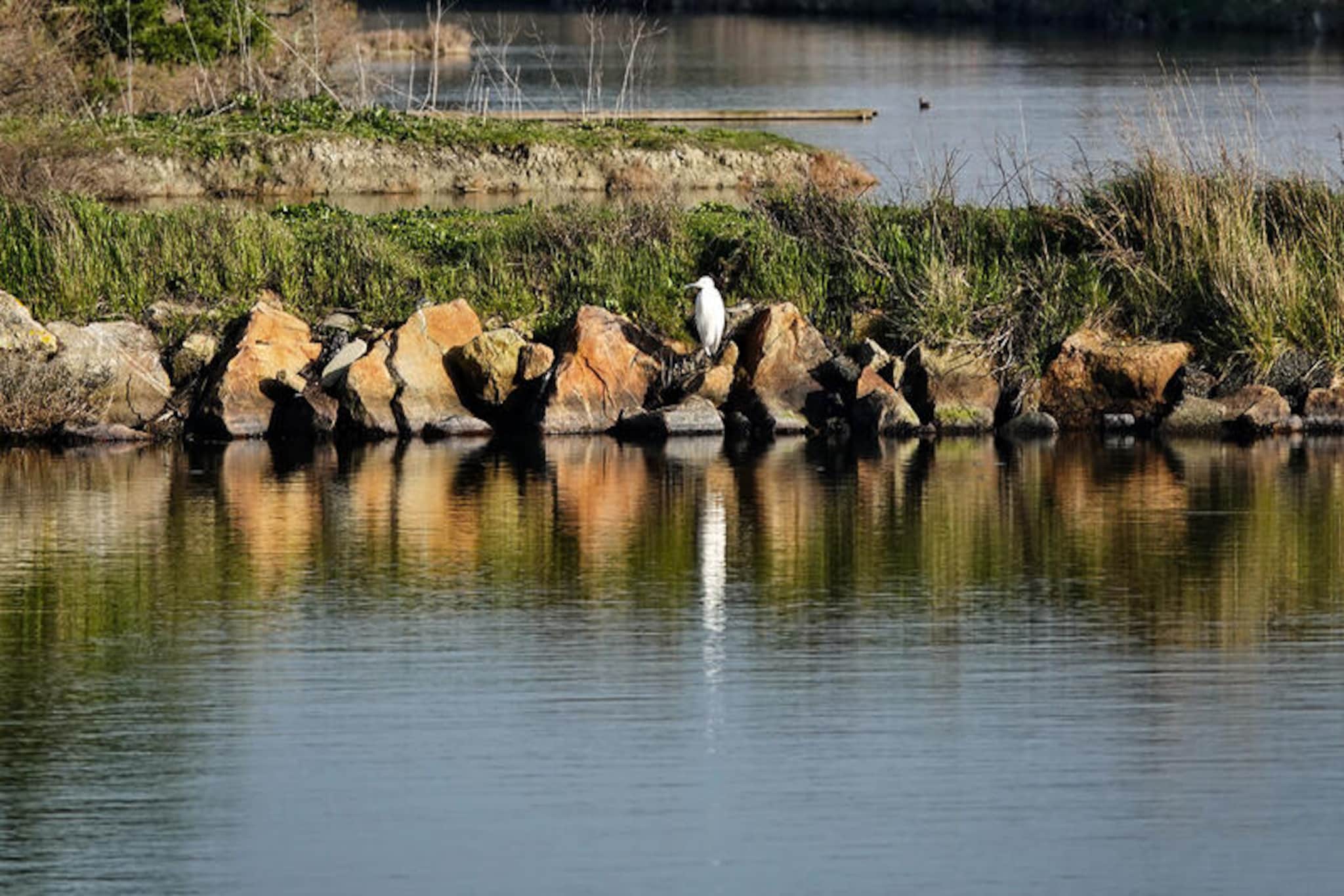 Appartements à Saint-Jean-de-Monts-Untagged