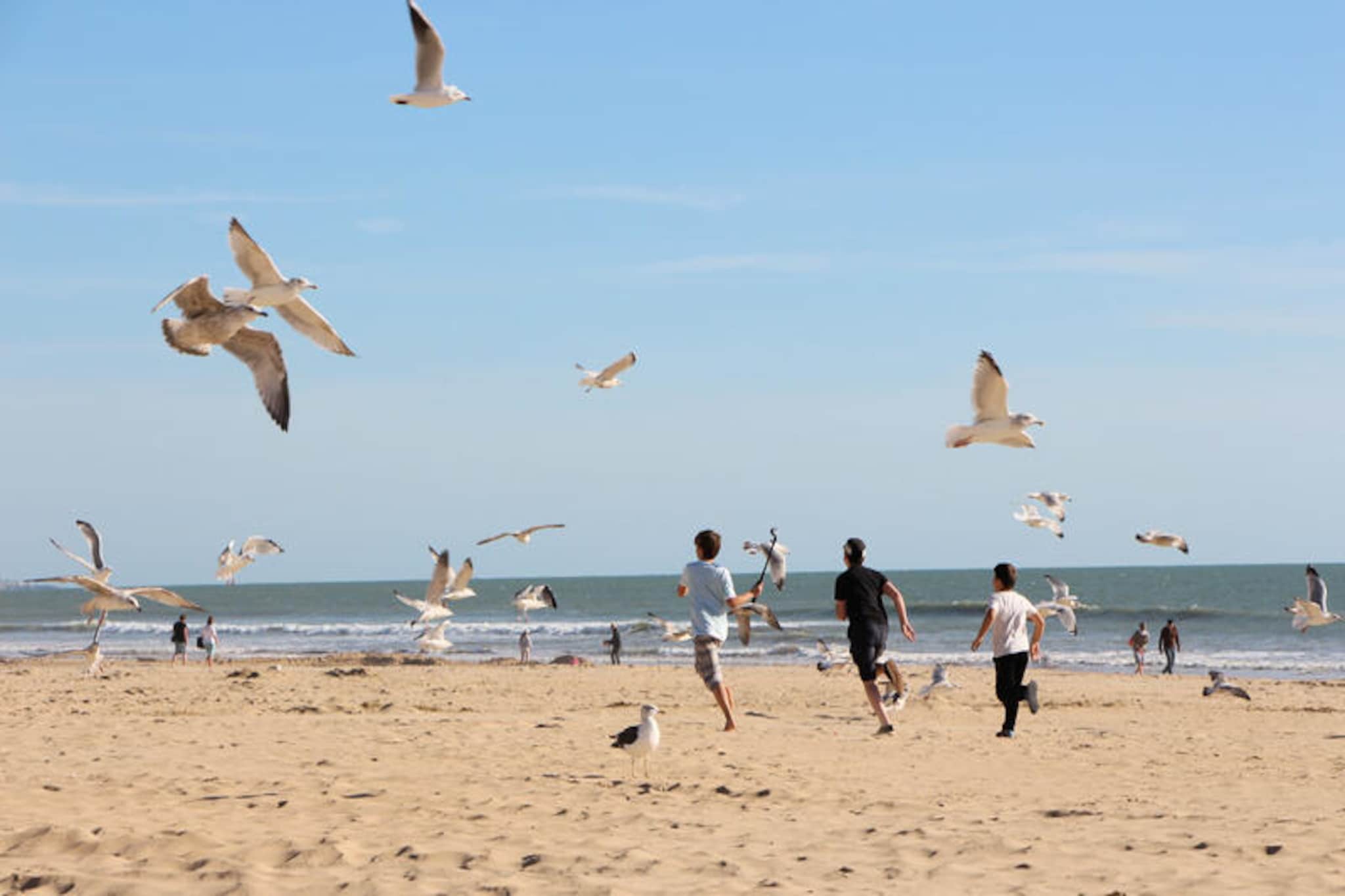 Appartements à Saint-Jean-de-Monts-Niet-getagd