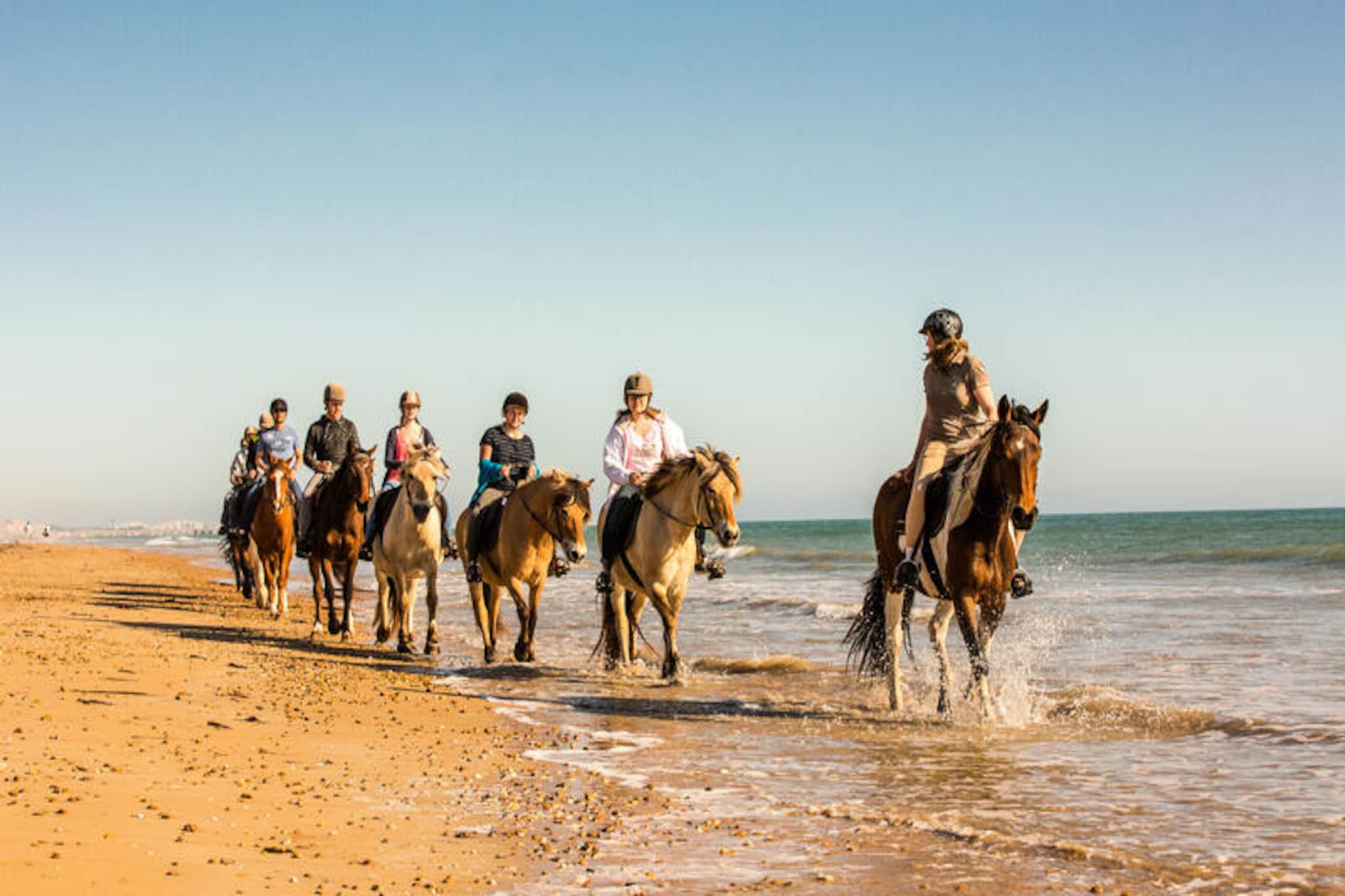Appartements à Saint-Jean-de-Monts-Niet-getagd