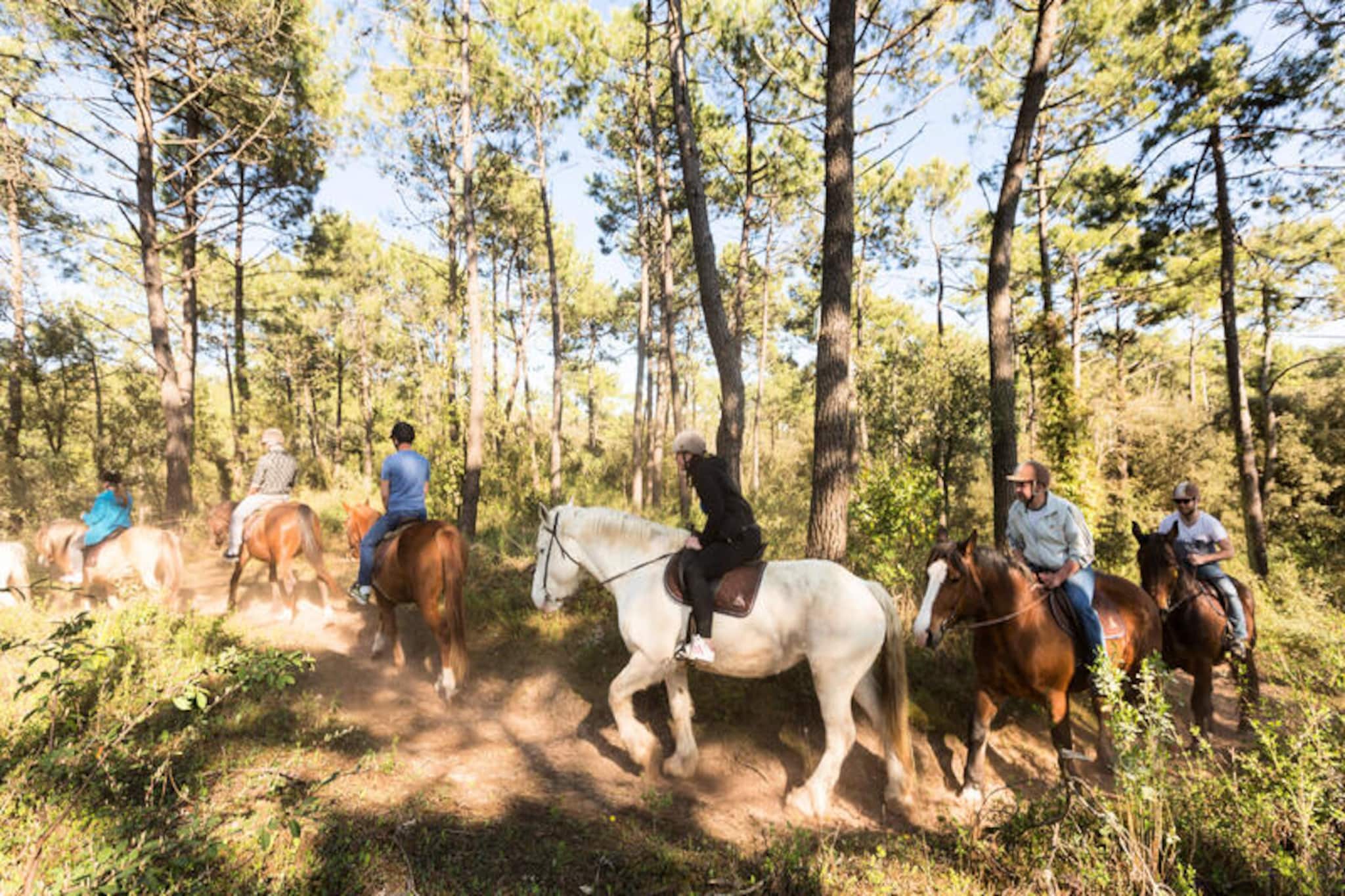 Appartements à Saint-Jean-de-Monts-Niet-getagd
