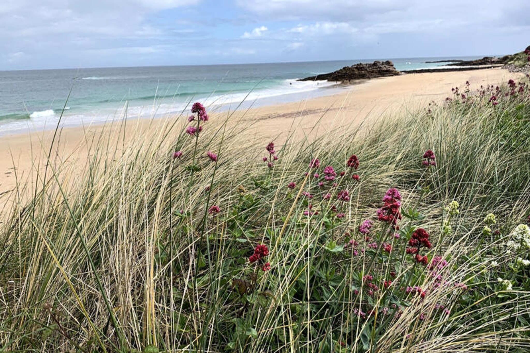 Maison à Erquy-Untagged