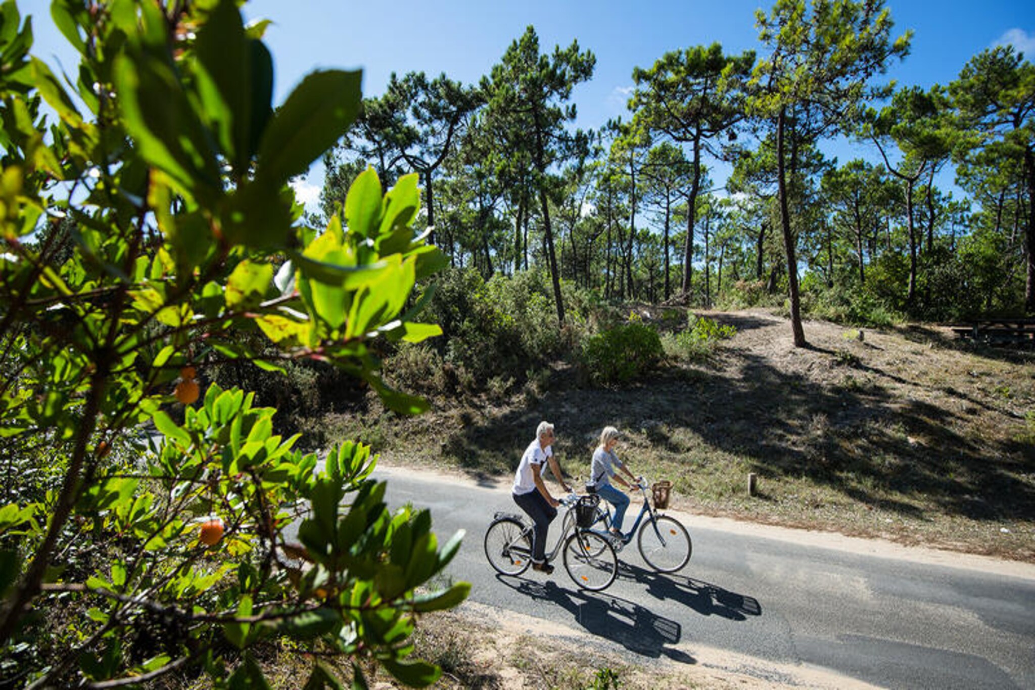 Maison à Noirmoutier-Nicht zugeordnet