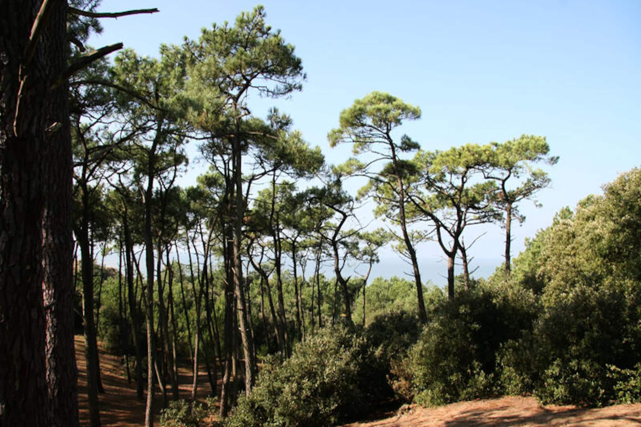 Appartements à Saint-Michel-Chef-Chef-Niet-getagd