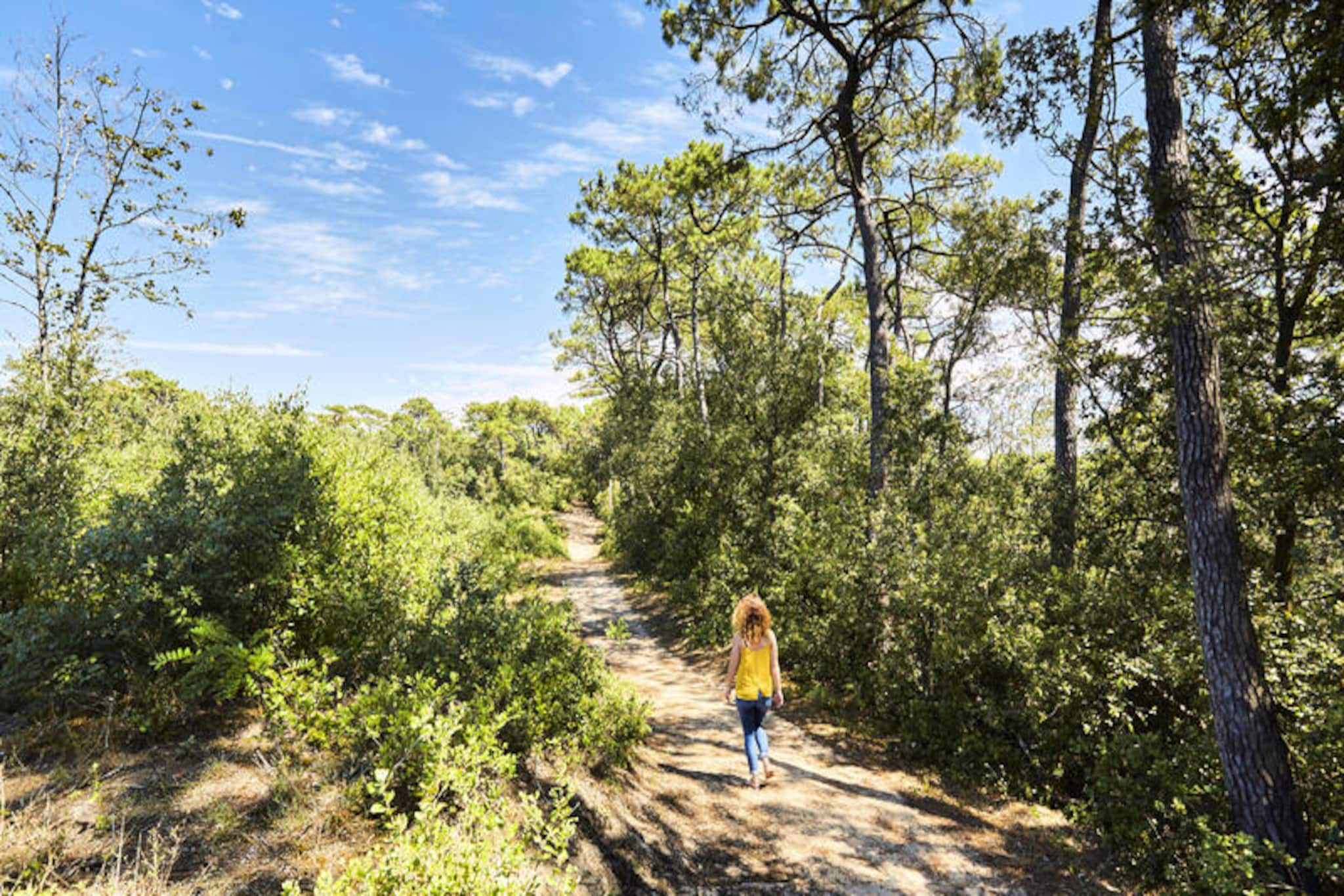 Studio à La Tranche-sur-Mer-Nicht zugeordnet