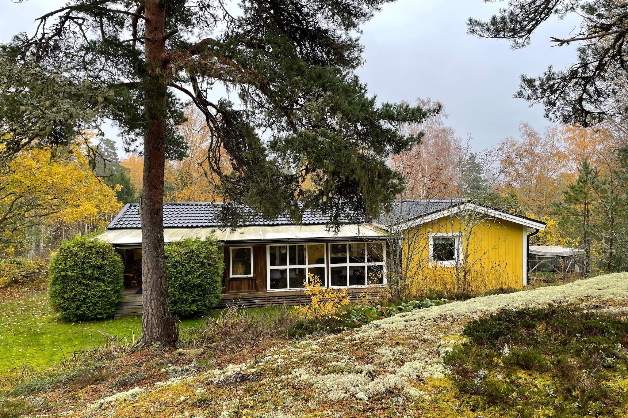 Gezellig toevluchtsoord in het bos met bubbelbad-Buitenlucht