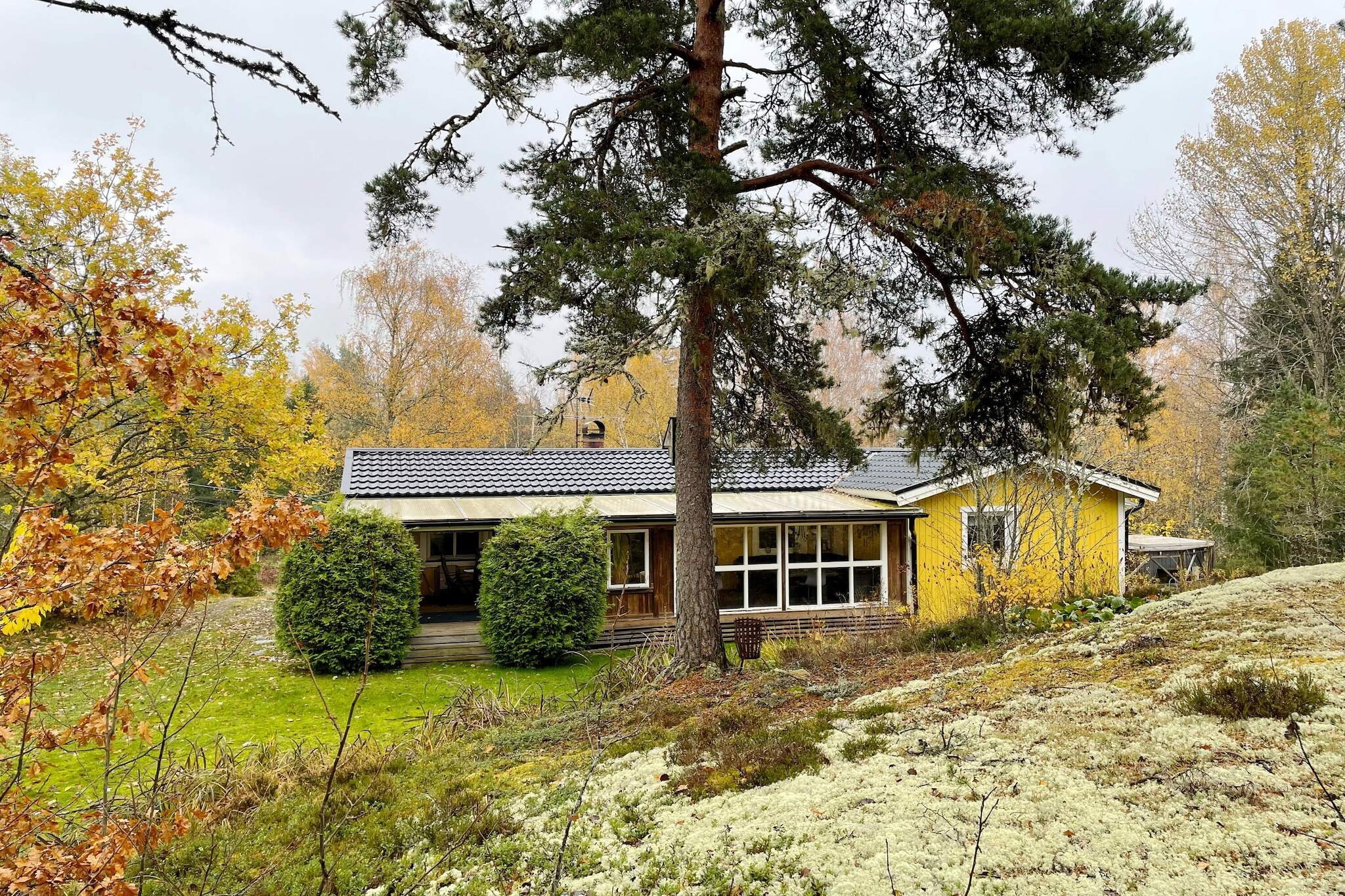Gezellig toevluchtsoord in het bos met bubbelbad-Buitenlucht