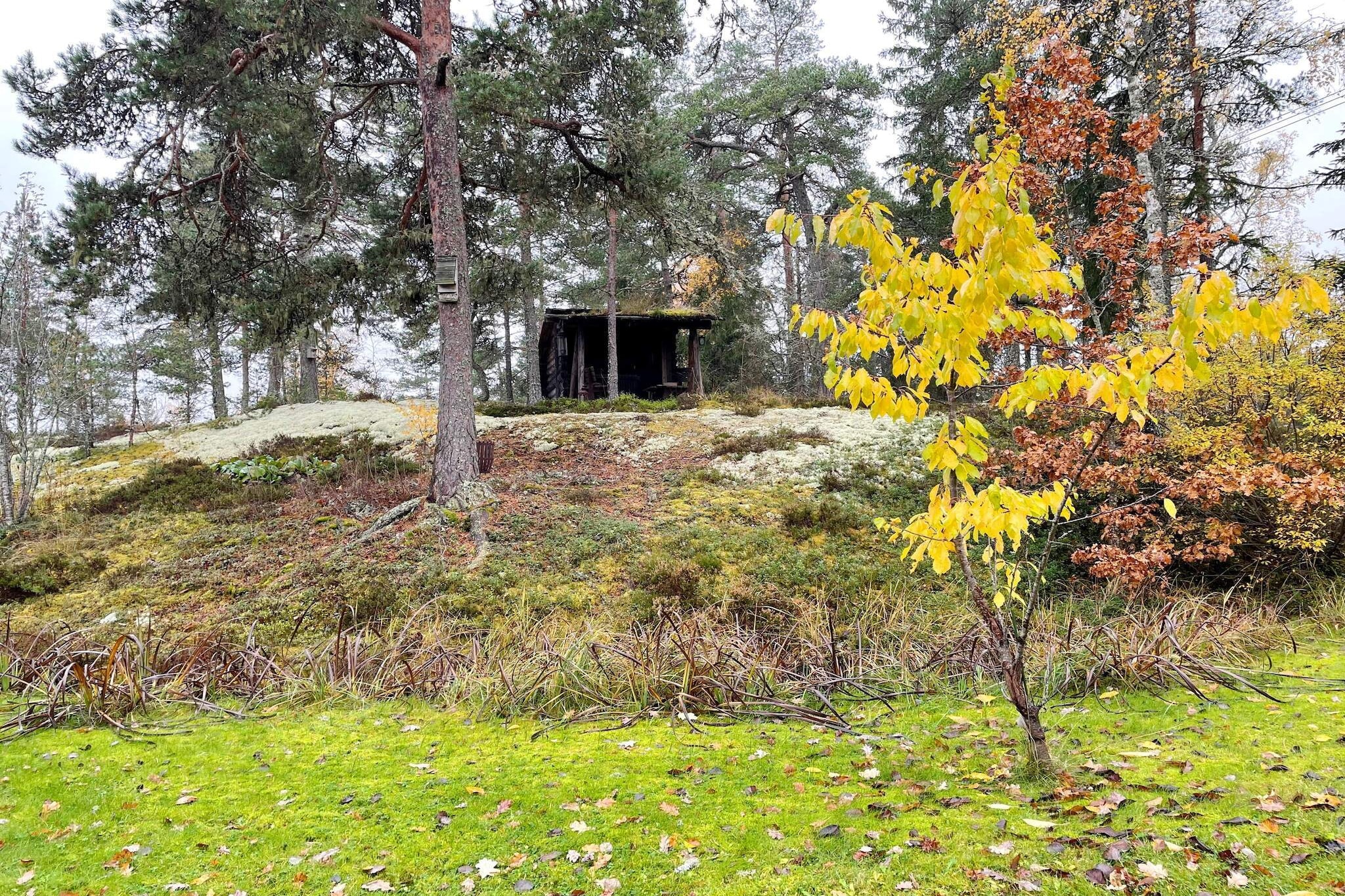 Gezellig toevluchtsoord in het bos met bubbelbad-Buitenlucht