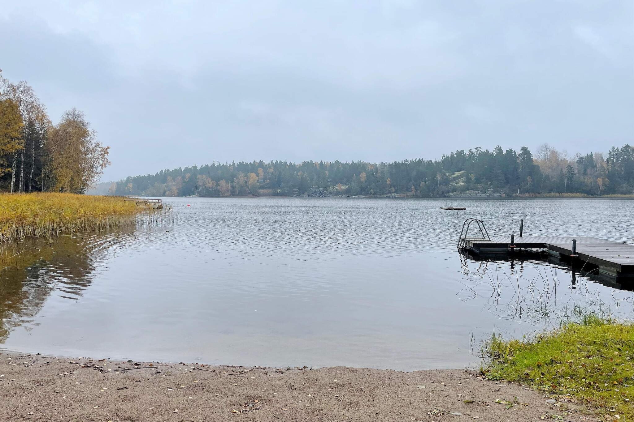 Gezellig toevluchtsoord in het bos met bubbelbad-Niet-getagd