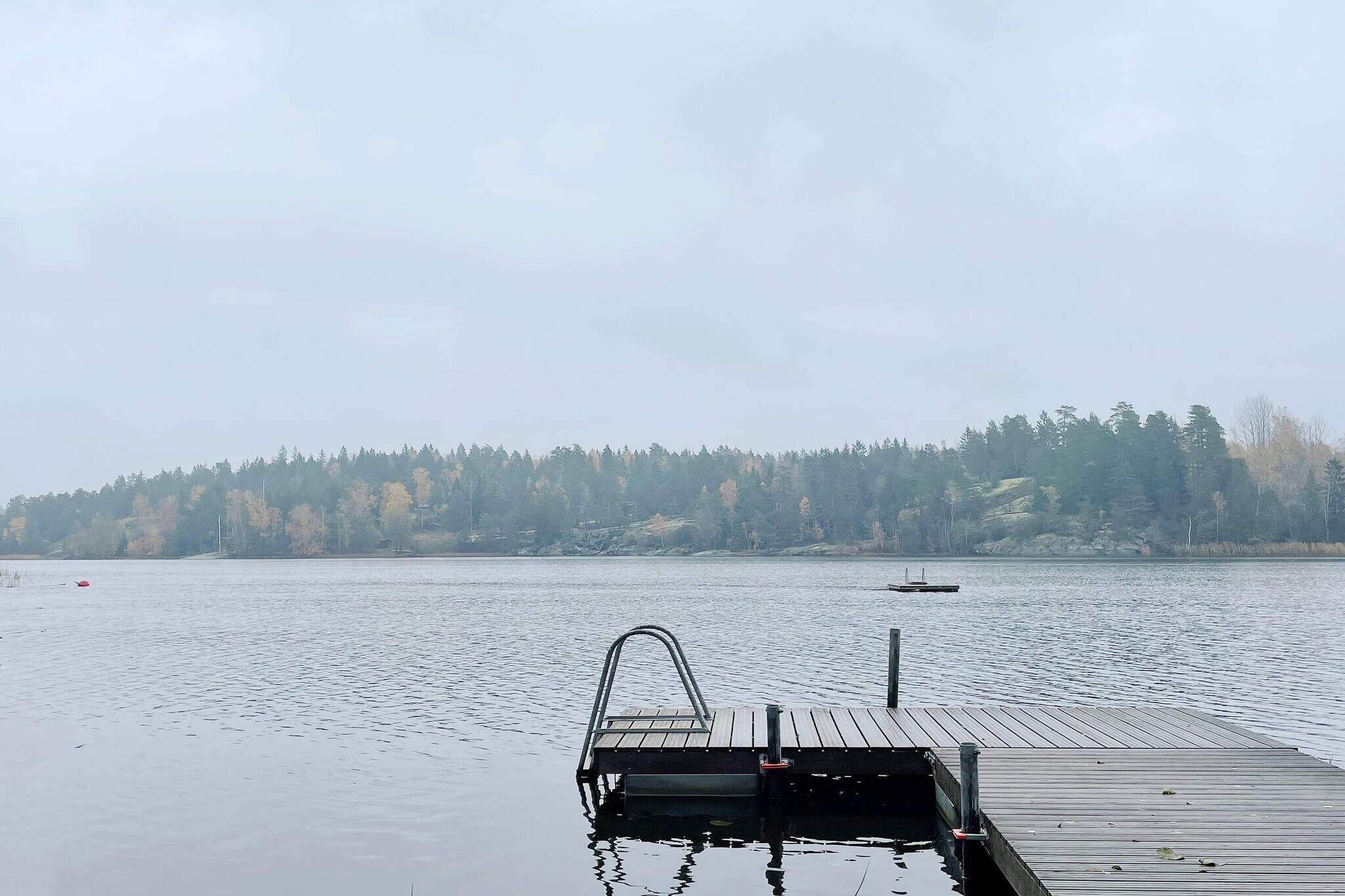 Gezellig toevluchtsoord in het bos met bubbelbad-Niet-getagd