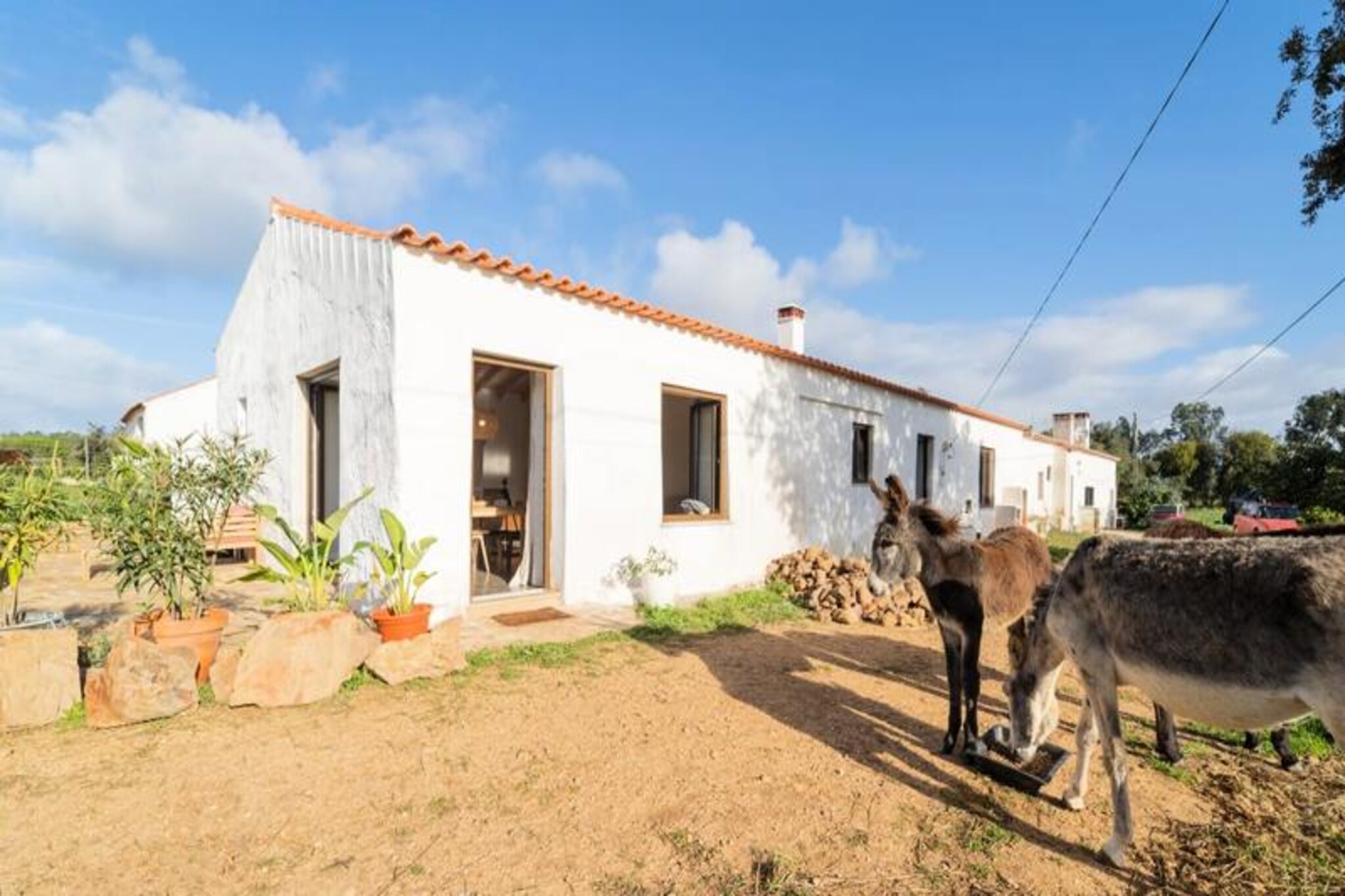 Amidst the serene Algarve countryside, just minutes from the charming town of Aljezur, lies a delightful ground-floor studio that promises a retreat filled with tranquility and natural beauty. Here, mornings begin with the gentle rustle of leaves and the occasional greeting from the farm’s friendly donkeys, while evenings are perfect for unwinding on the private porch under a starlit sky. This is a place where nature’s rhythm sets the tone for your holiday. \n\nThe studio is thoughtfully designed to accommodate up to four guests, featuring a spacious double bed and a mezzanine ideal for two children. Large windows flood the living area with light and offer sweeping views of the countryside. A fully equipped kitchen invites you to prepare meals with fresh local produce, while the private bathroom ensures comfort and convenience. Linens, towels, and Wi-Fi are provided, making your stay as seamless as possible. \n\nLocated near Aljezur, you’ll find yourself at the heart of the Costa Vicentina Natural Park, a region celebrated for its dramatic cliffs, pristine beaches, and world-class surfing conditions. Whether you’re exploring the cobbled streets of Aljezur, sampling local delicacies like Medronho or honey, or hiking along coastal trails with the sound of the Atlantic waves as your soundtrack, this area offers endless opportunities for adventure and relaxation. \n\nQuinta da Paz is more than just a place to stay; it’s an invitation to experience the Algarve’s authentic charm. With its peaceful setting, friendly farm animals, and proximity to both nature and culture, this studio is perfect for families or couples seeking a memorable escape. Let the beauty of Aljezur and the warmth of Quinta da Paz create lasting holiday memories.