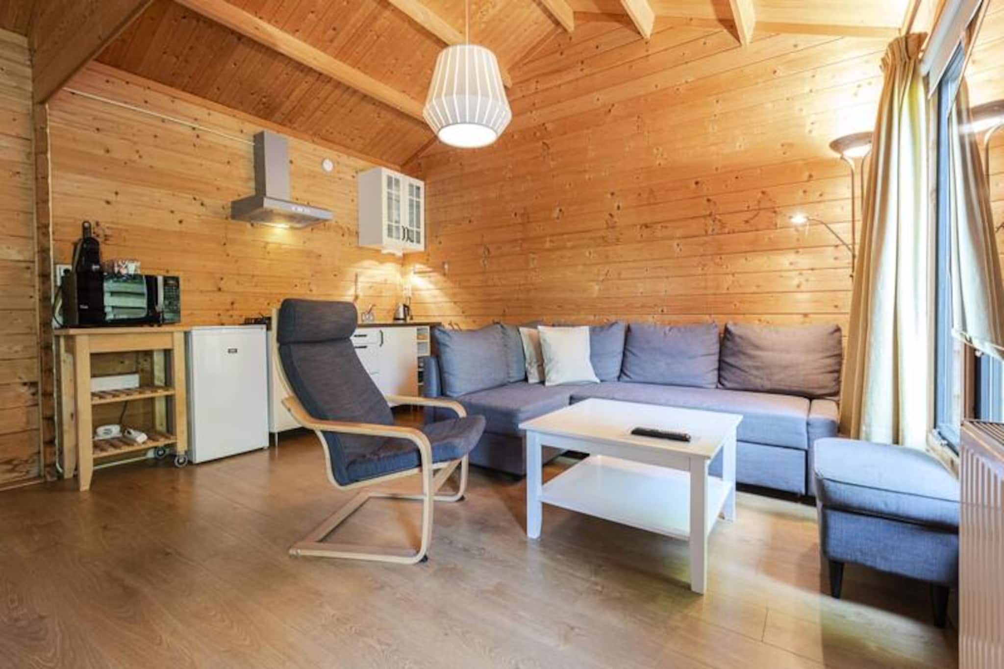 Chalet in Zandvoort near the Beach