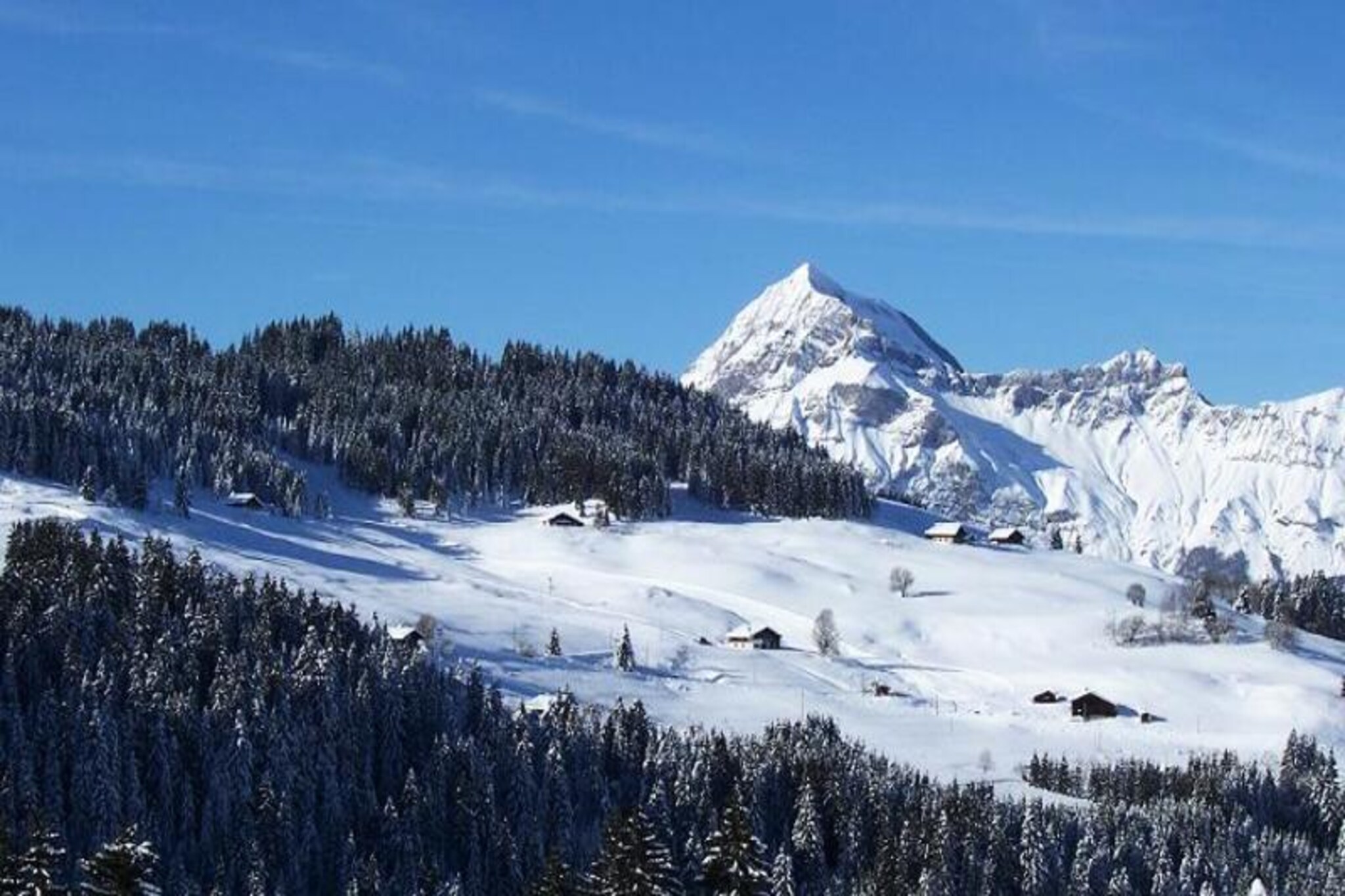 Apartment in Alps near Boulangère Lift