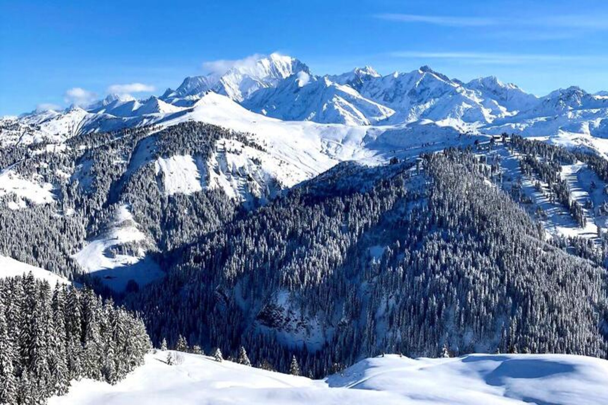 Apartment in Alps near Espace Diamant