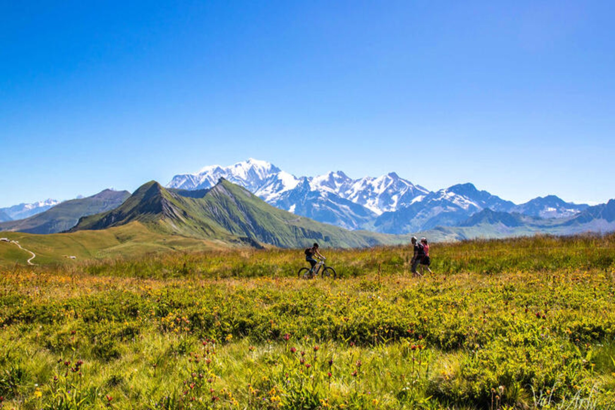 Southern Alps