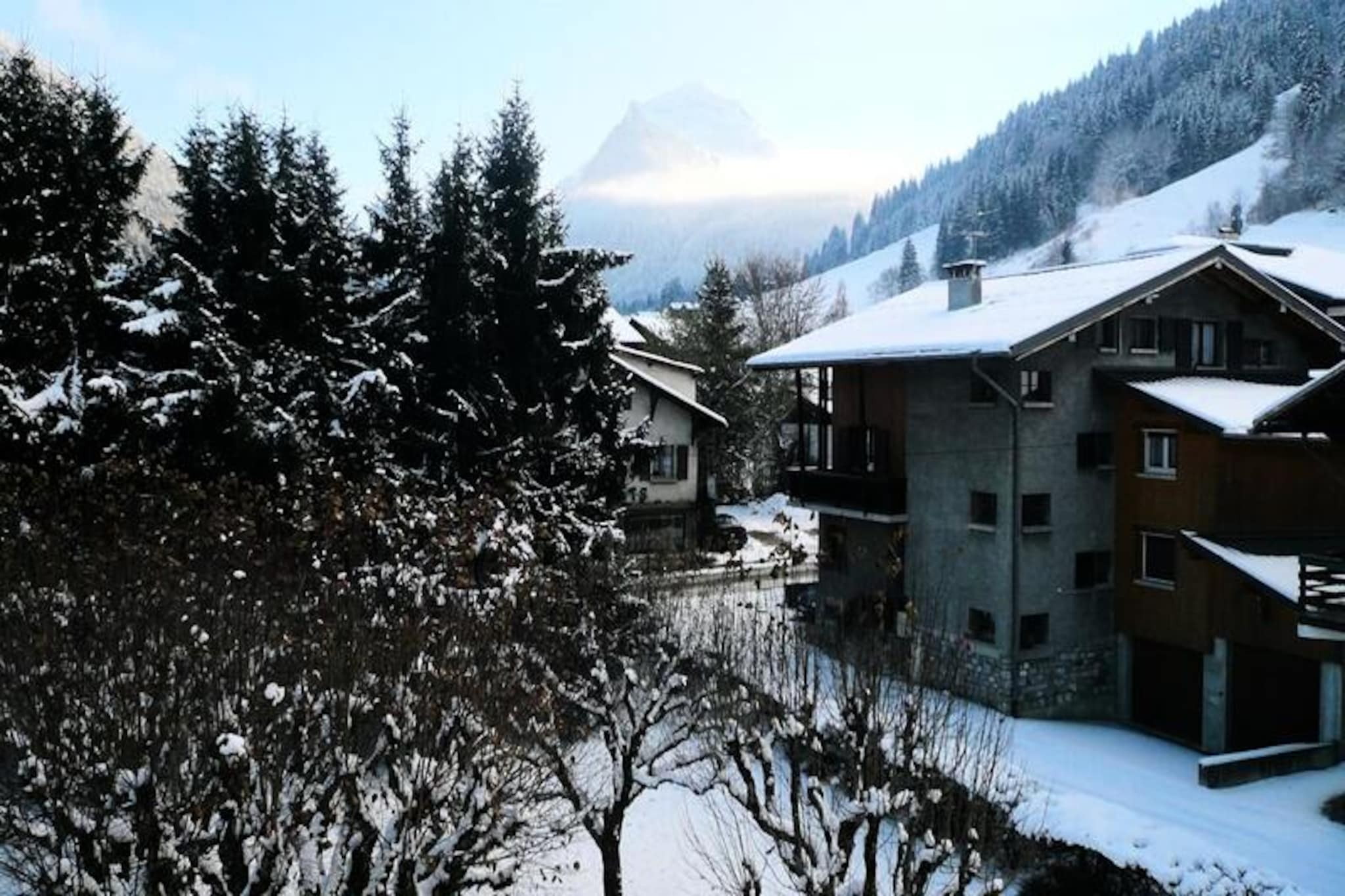 In the heart of Morzine, where alpine charm meets modern convenience, this beautifully renovated two-room apartment offers a cozy retreat for your mountain getaway. Situated on the 2nd floor of the Edelweiss residence, it places you just steps from the vibrant resort center, with restaurants, bars, and the Pléney slopes less than 100 meters away. Whether you're here to ski, hike, or simply unwind, this location ensures you're always close to the action while enjoying a peaceful haven to recharge. \n\nThe apartment spans 27m² and is thoughtfully designed for comfort and practicality. The entrance hall leads to a bright living area with a fully equipped open-plan kitchen, dining space, and a lounge featuring a sofa bed and access to a private balcony. The bedroom boasts a plush double bed and television, while the modern shower room and separate toilet add convenience to your stay. Additional amenities include private outdoor parking, a ski locker, shared bicycle storage, and a private ski cellar. Feather duvets, Wi-Fi, and included bed and towel kits ensure a seamless and relaxing experience. \n\nBeyond the apartment, Morzine offers a wealth of activities and attractions. In winter, the nearby ski school and Pléney slopes invite you to explore the expansive Portes du Soleil ski area. During summer, the region transforms into a paradise for hikers and cyclists, with the Summer Multipass granting access to countless trails and activities. The lively village atmosphere, combined with stunning mountain views, creates an unforgettable backdrop for your holiday. \n\nWhether you're seeking thrilling adventures or tranquil moments, this apartment provides the perfect base to experience the magic of Morzine. Let the Edelweiss residence be your home away from home in the French Alps.