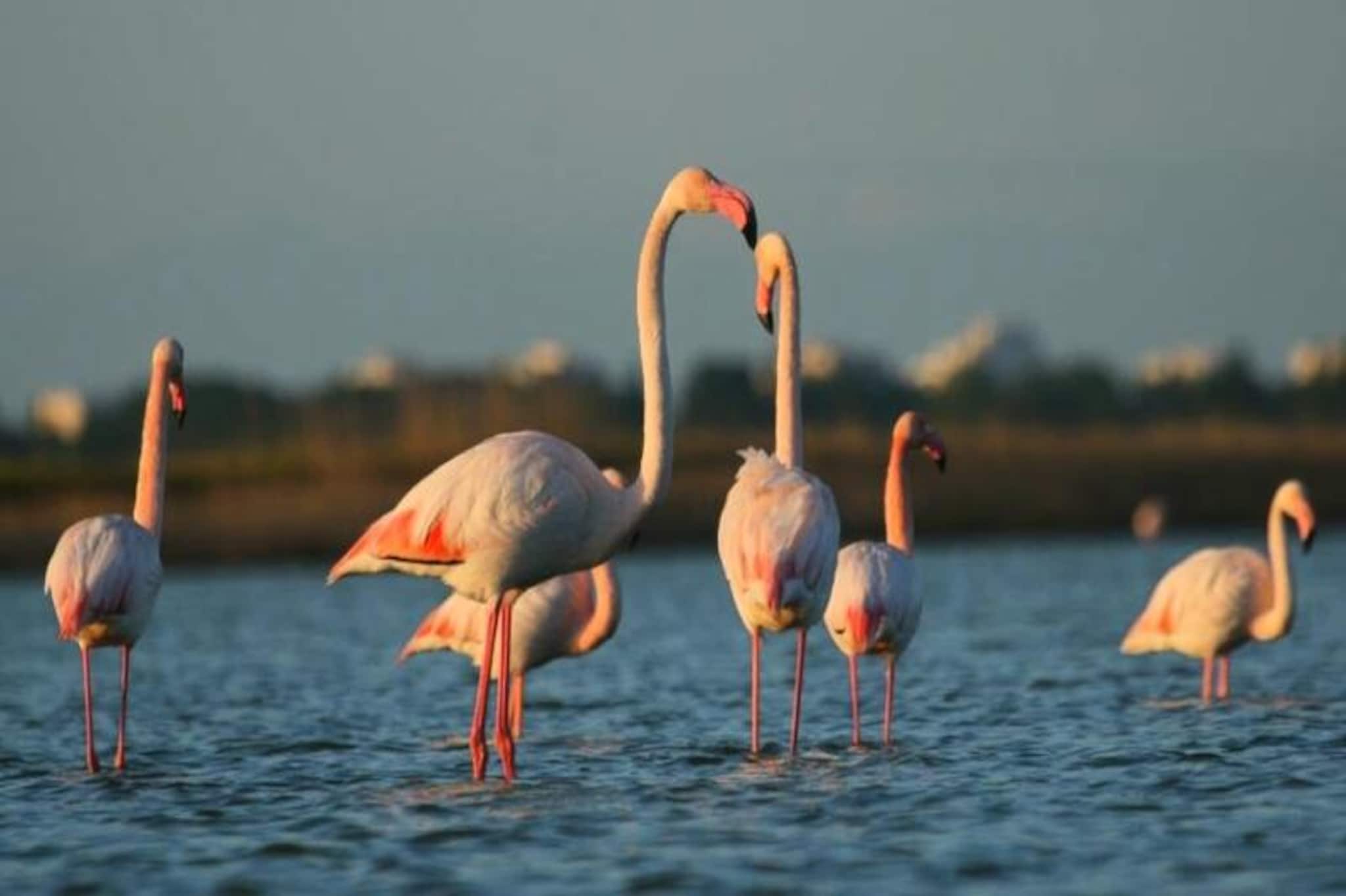 Résidence Escapade-Non tagué