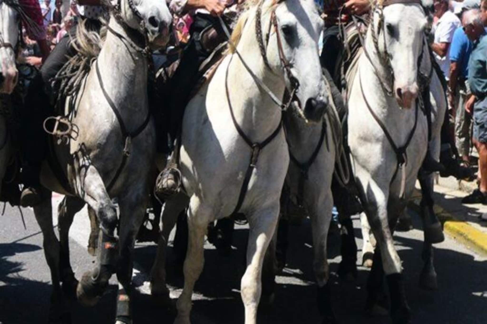 Résidence Escapade-Non tagué