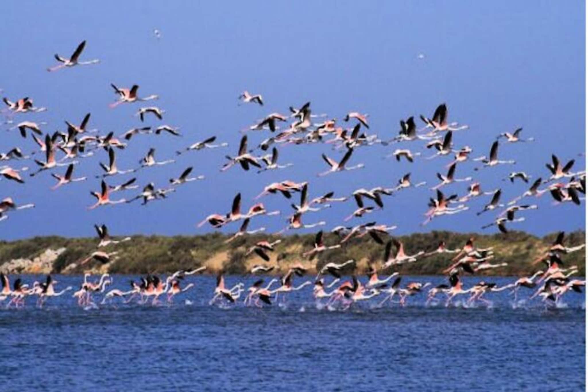 Résidence Escapade-Non tagué