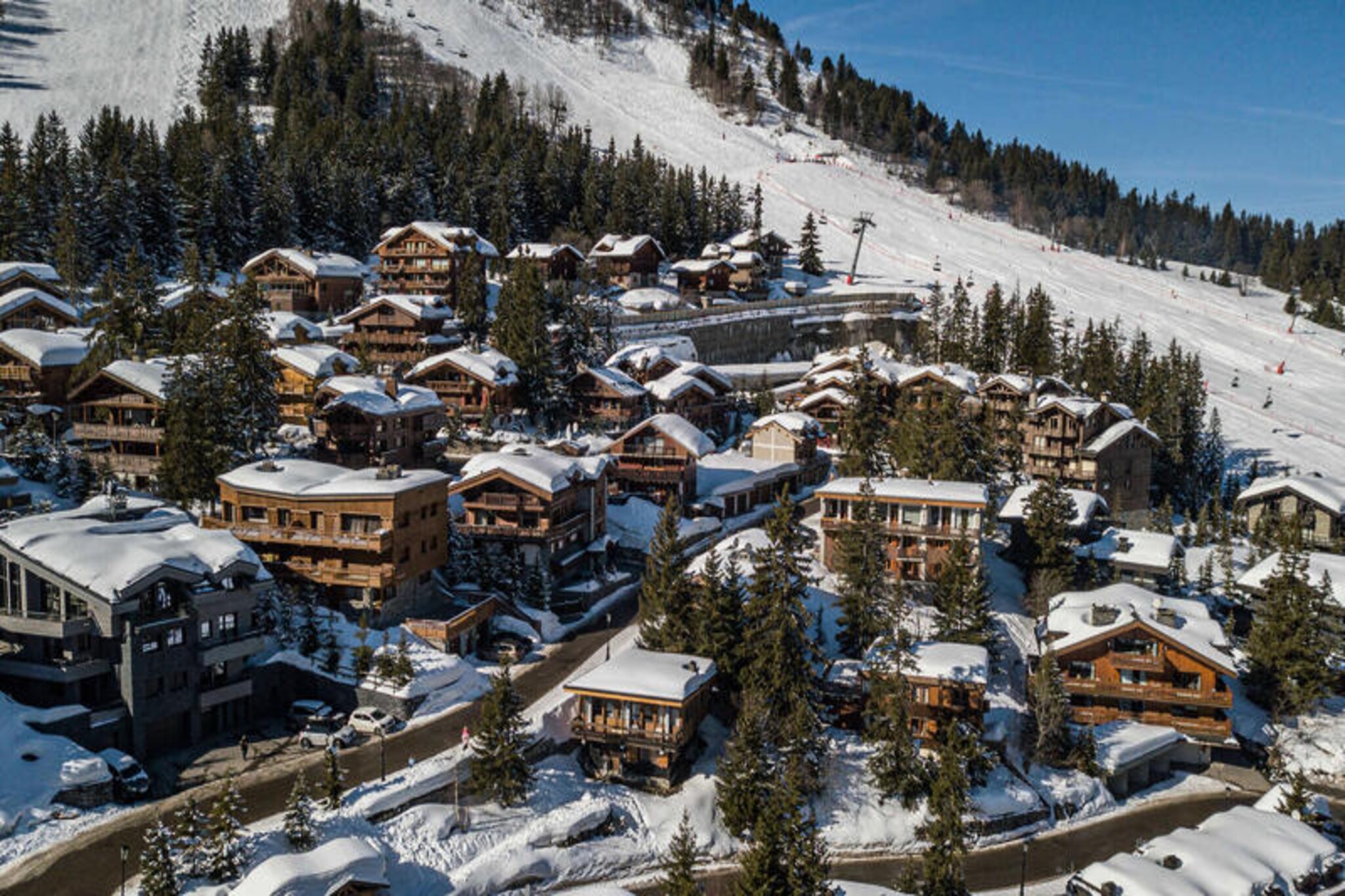 Chalet in Chenus near Plantrey Ski Lift