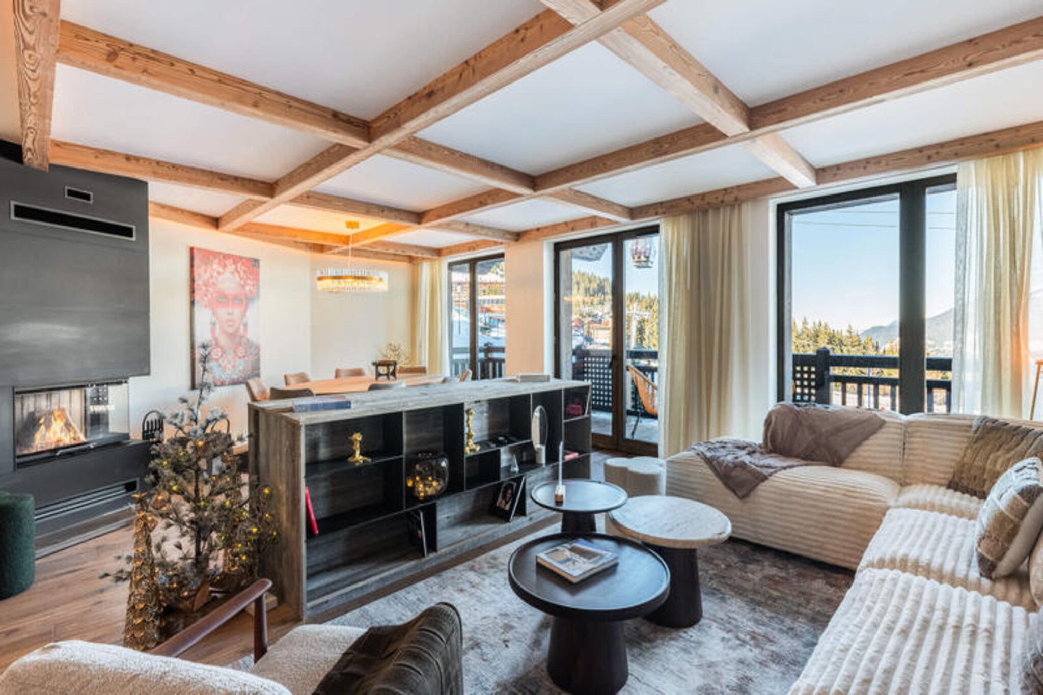 New ski-in and ski-out apartment