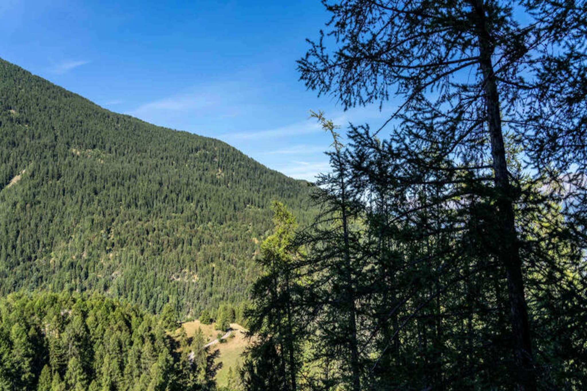 Studio with sleeping area in the heart of Les Orres 1650