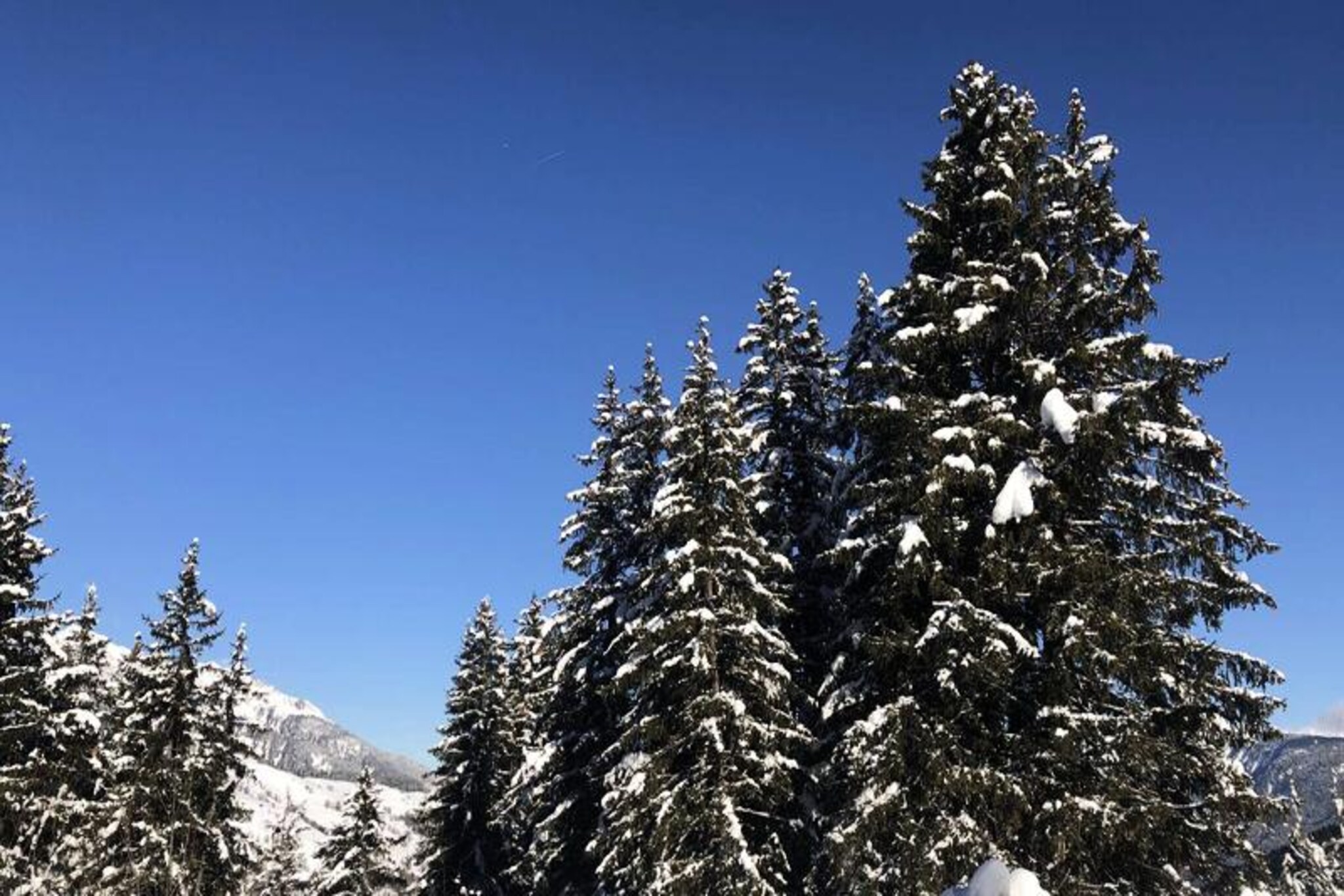 Southern Alps