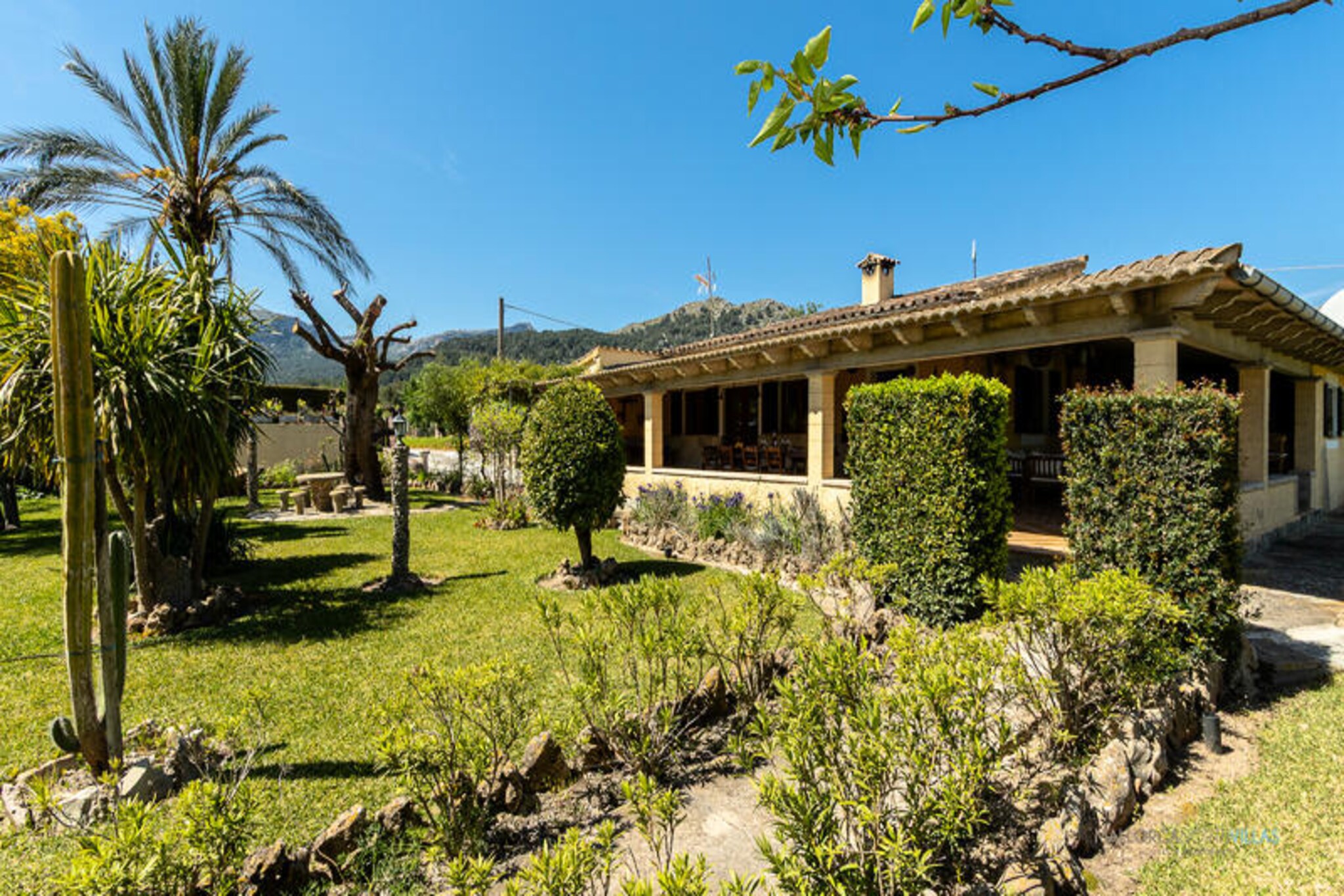 Spain
