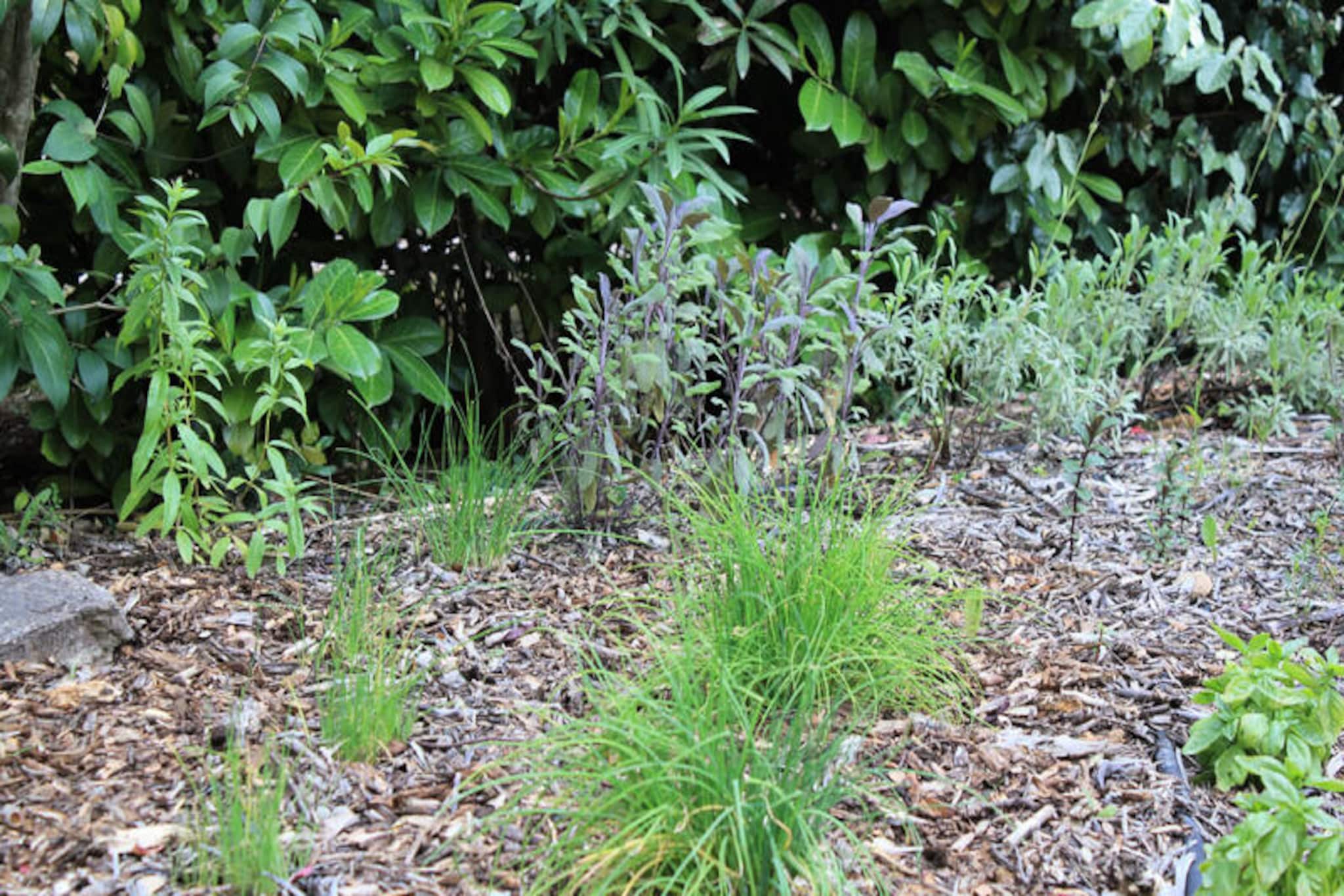 Lou Penequet, Mas Typique Avec Piscine En Provence, Nature, Calme-Niet-getagd