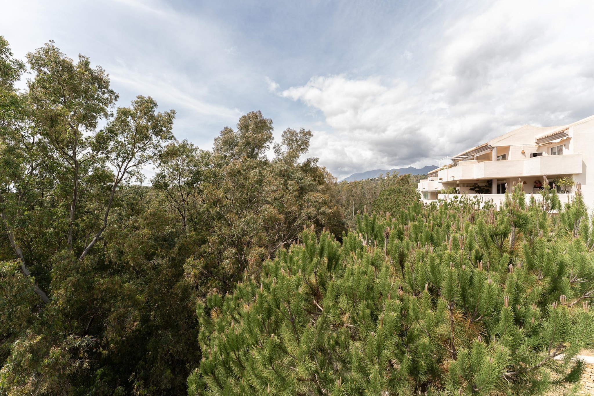 CT 366 - Faro's Silent Dream in Elviria - Marbella-Gebieden zomer 5km