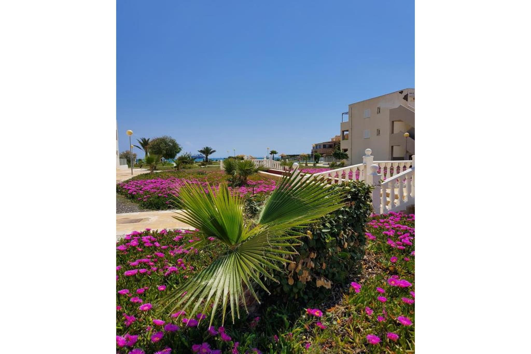 CT 369 AL - Faro's Apartmento Naturista - Primera Linea Vera Playa-Gardens in summer
