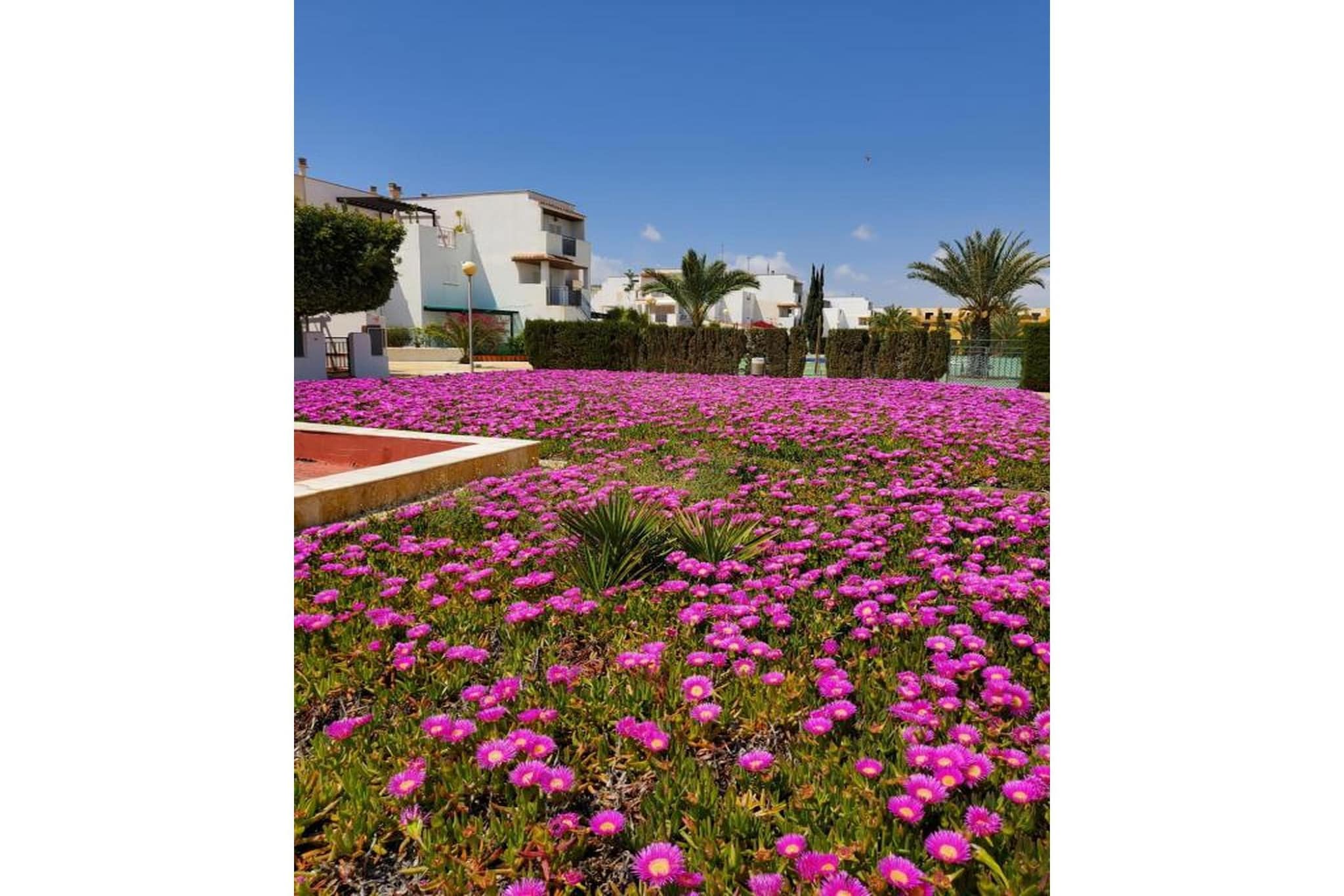 CT 369 AL - Faro's Apartmento Naturista - Primera Linea Vera Playa-Gardens in summer
