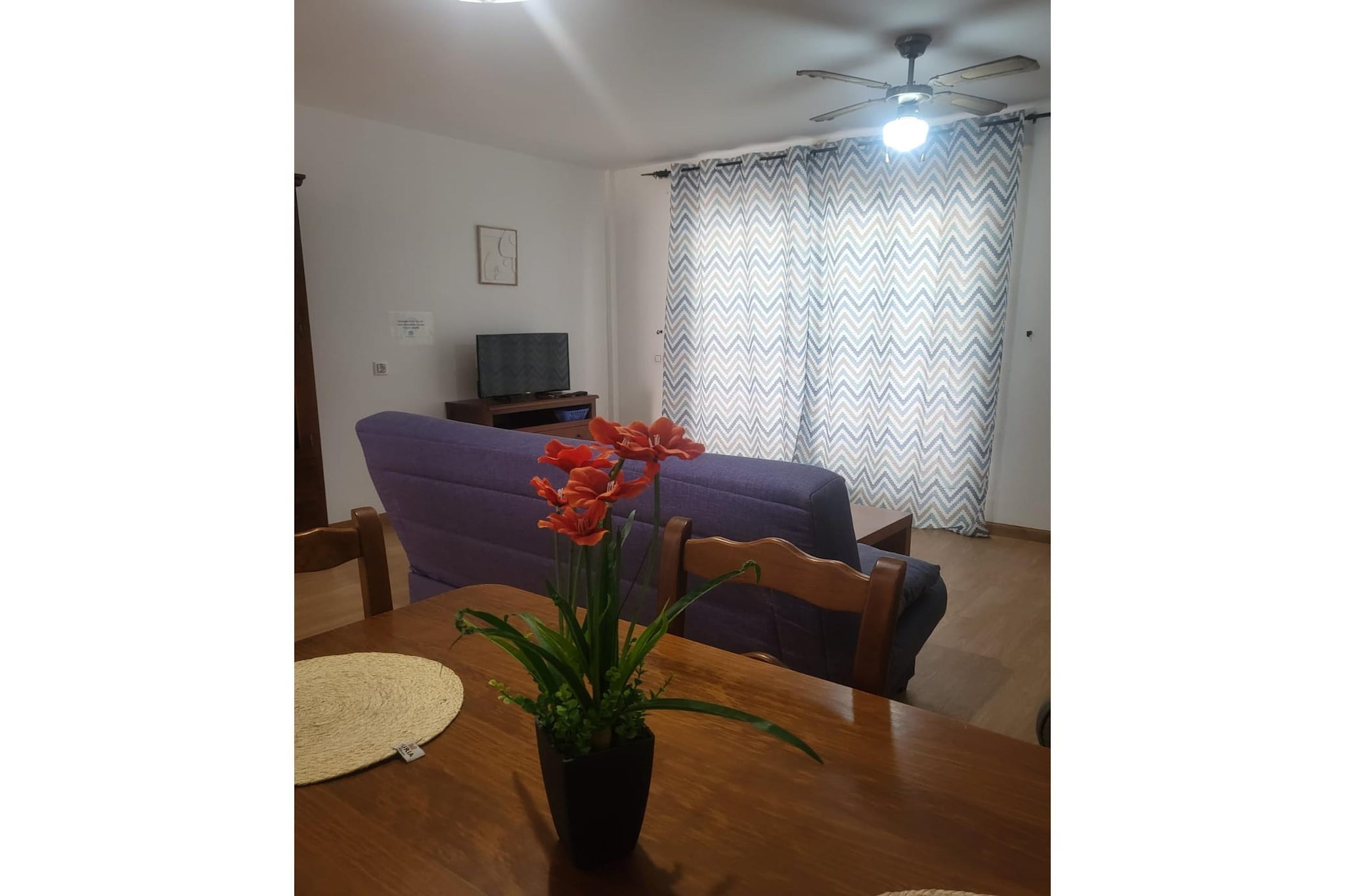 CT 369 AL - Faro's Apartmento Naturista - Primera Linea Vera Playa-Living room